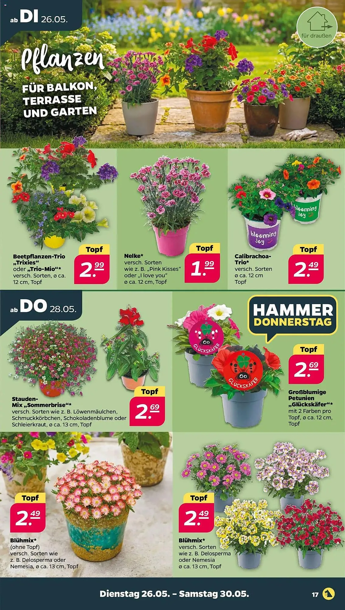 NETTO Prospekt von 26. Mai bis 30. Mai 2026 - Prospekt seite 19