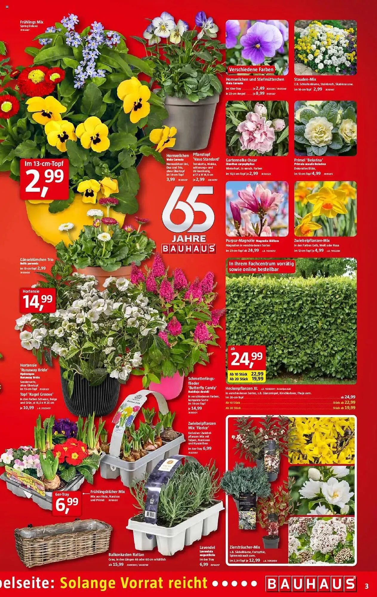 Bauhaus Prospekt von 1. März bis 29. März 2025 - Prospekt seite 3