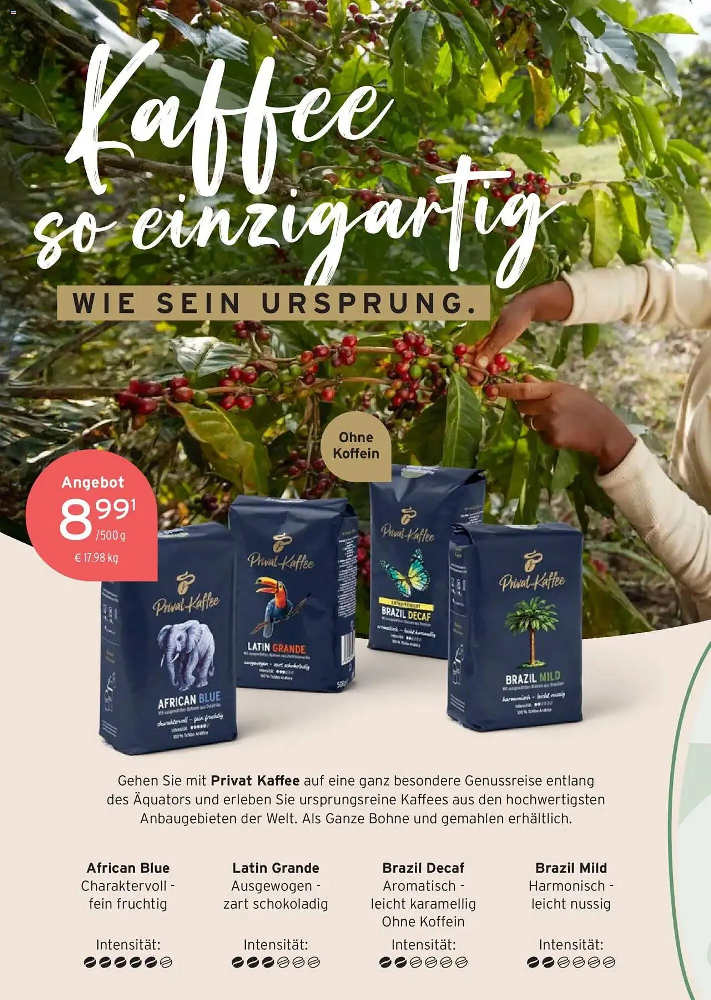 Tchibo Prospekt von 25. Juni bis 15. Juli 2025 - Prospekt seite 22