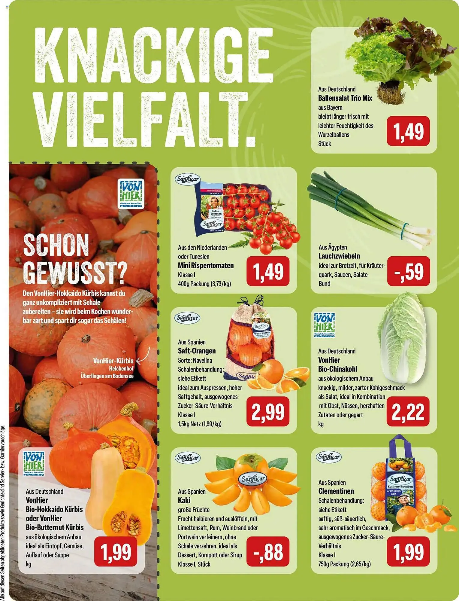 Feneberg Prospekt von 11. Dezember bis 13. Dezember 2025 - Prospekt seite 5