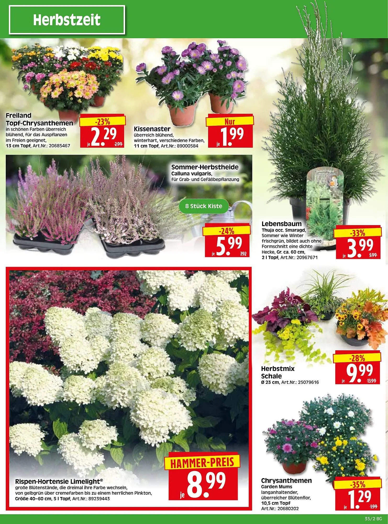 Herkules Baumarkt Prospekt von 25. August bis 30. August 2025 - Prospekt seite 2