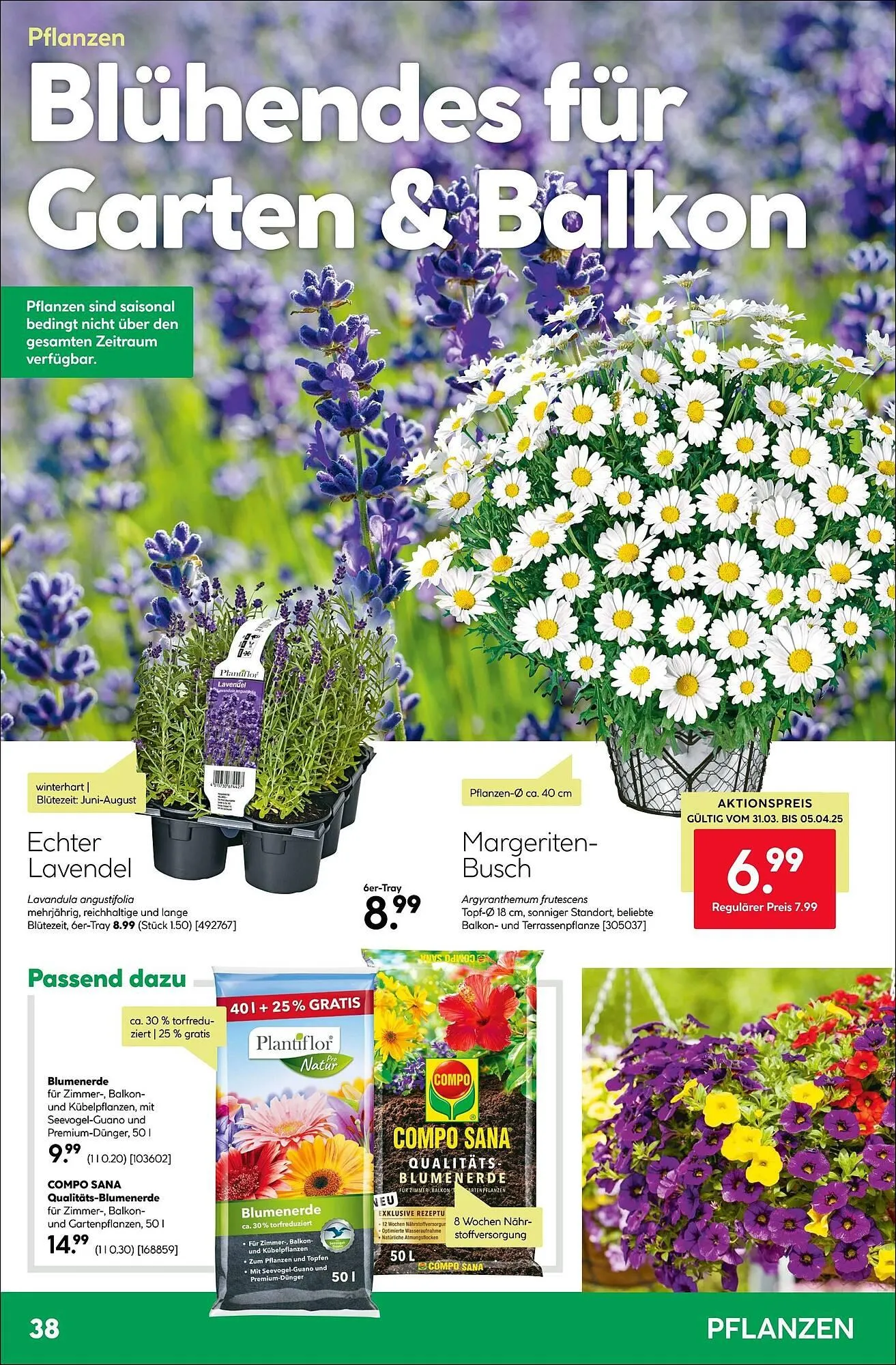 BayWa Prospekt von 31. März bis 6. April 2025 - Prospekt seite 38