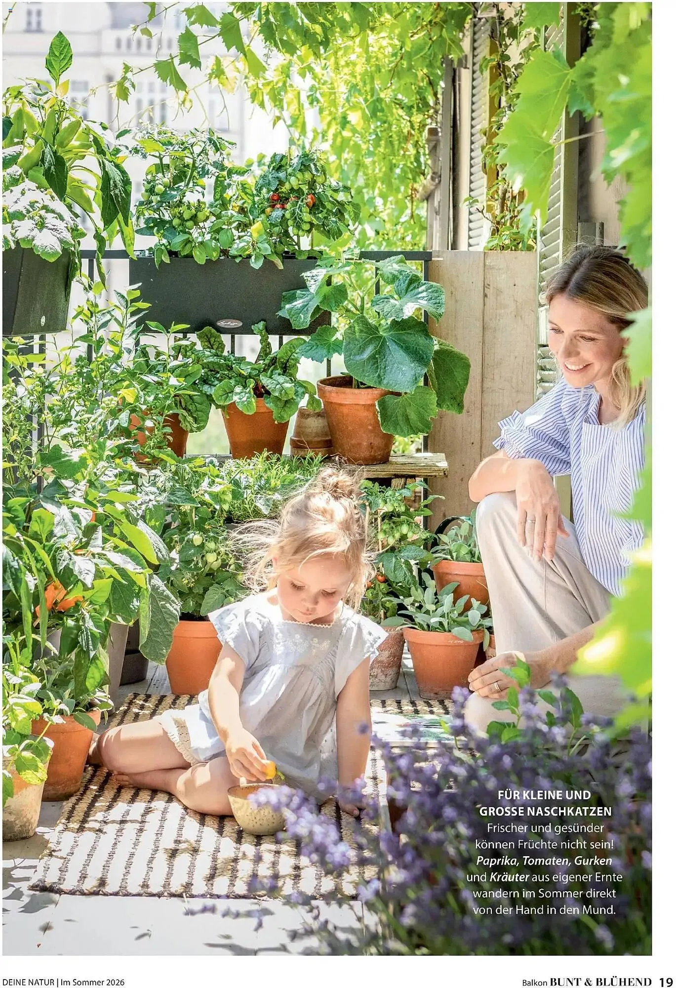 Dehner Prospekt von 17. April bis 31. August 2026 - Prospekt seite 19