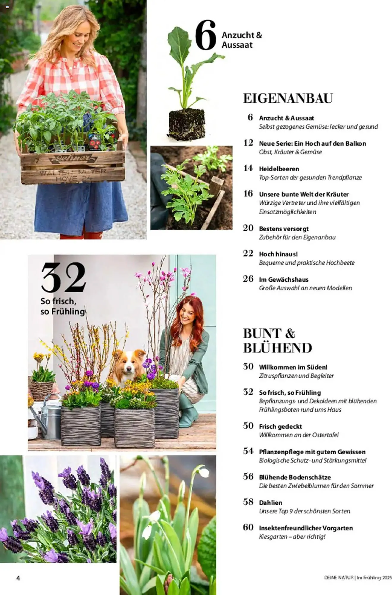 Dehner Prospekt von 6. März bis 9. Juni 2025 - Prospekt seite 4