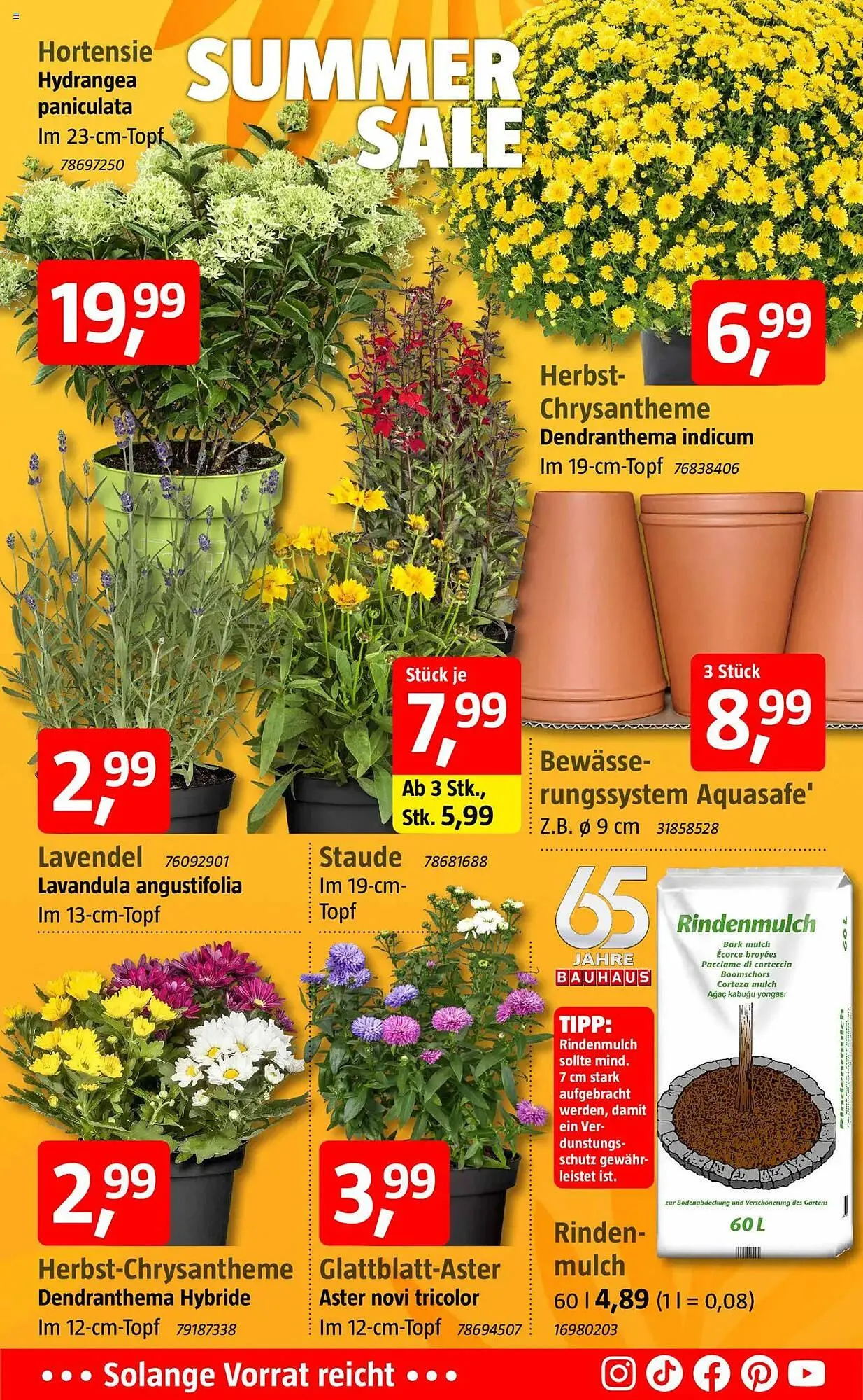 Bauhaus Prospekt von 20. Juli bis 9. August 2025 - Prospekt seite 5