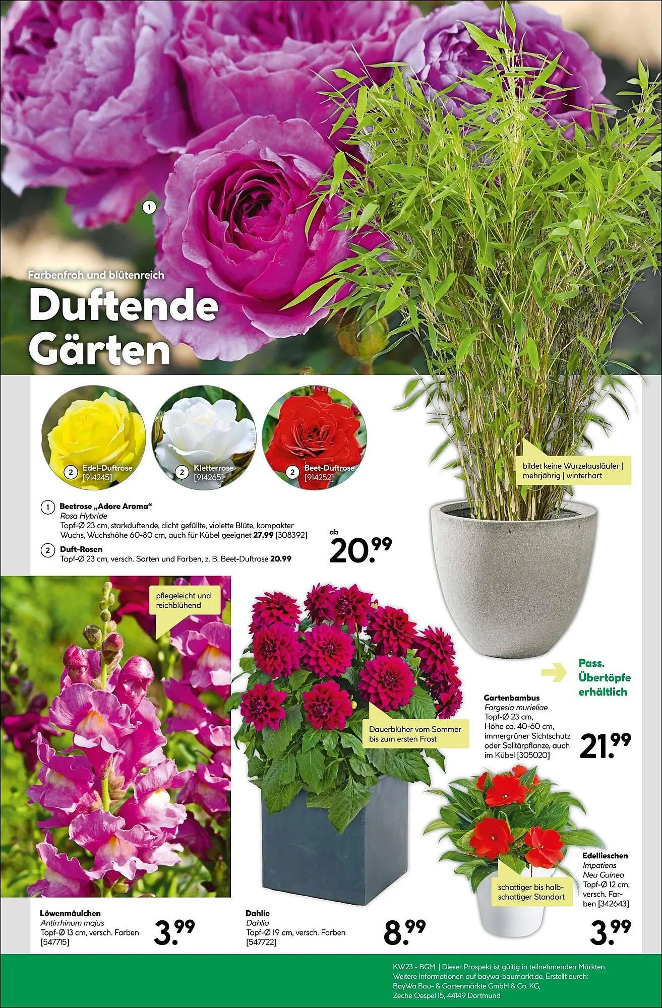 BayWa Prospekt von 2. Juni bis 8. Juni 2025 - Prospekt seite 11