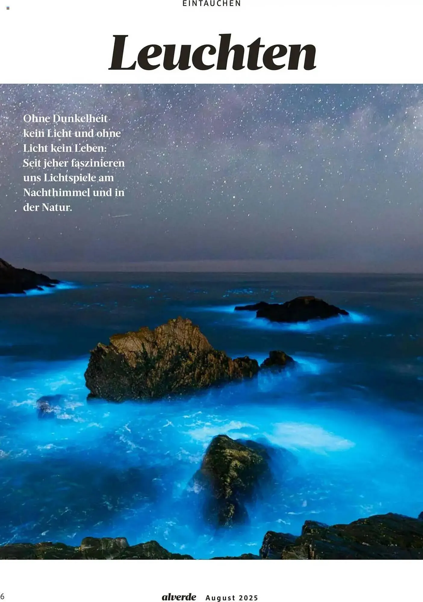 dm drogerie Prospekt von 1. August bis 31. August 2025 - Prospekt seite 6