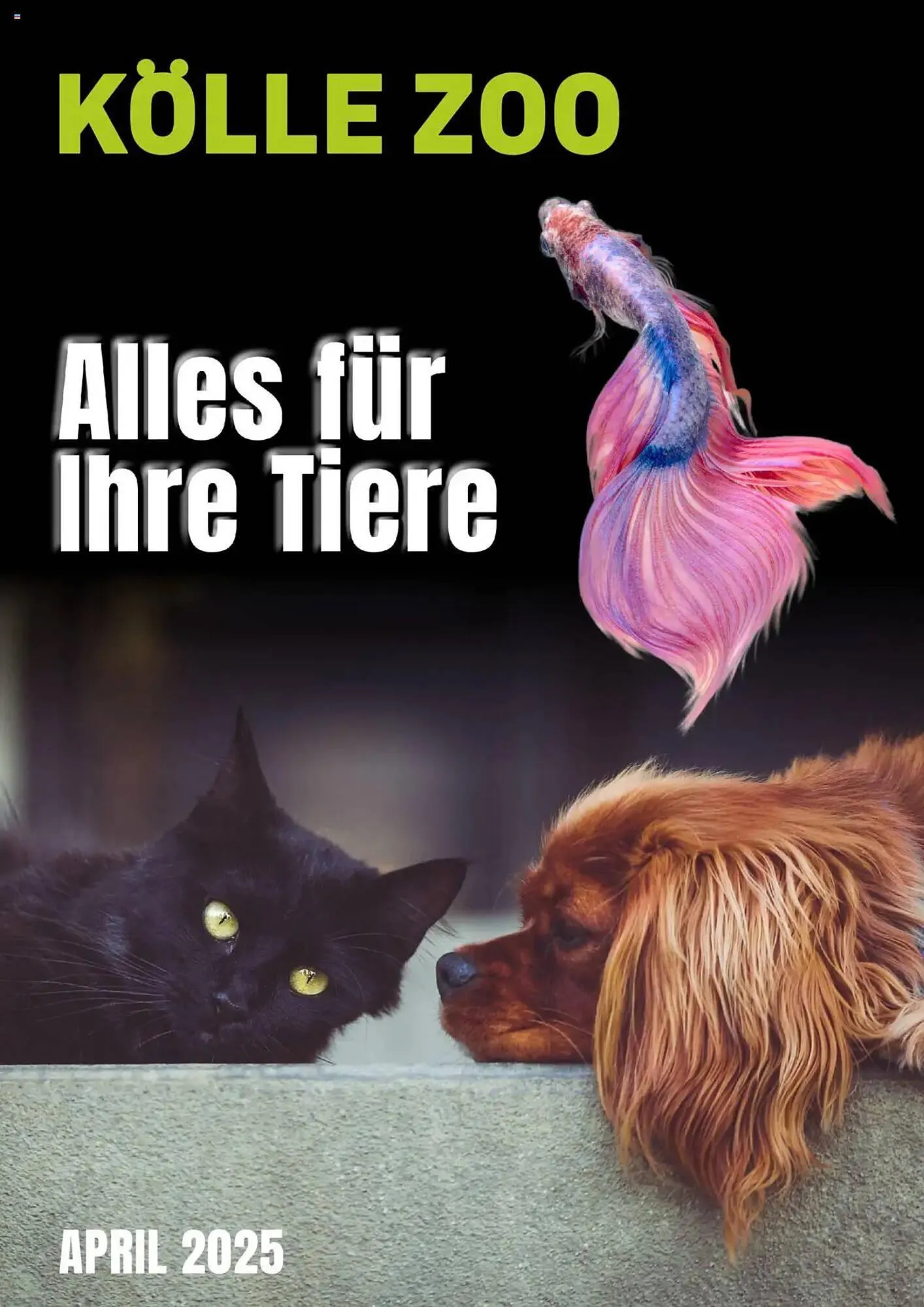 Kölle Zoo Prospekt - 1