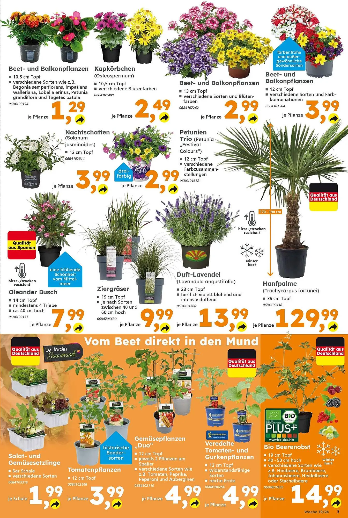 Globus Baumarkt Prospekt von 3. Mai bis 9. Mai 2026 - Prospekt seite 3