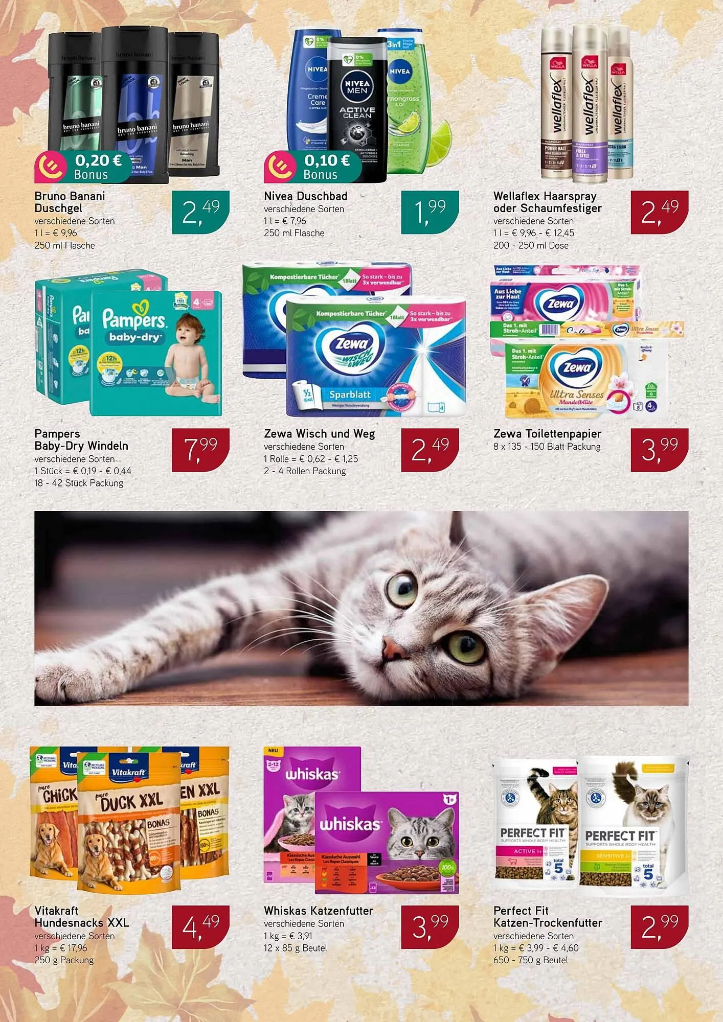 Dornseifer Prospekt von 3. November bis 8. November 2025 - Prospekt seite 14