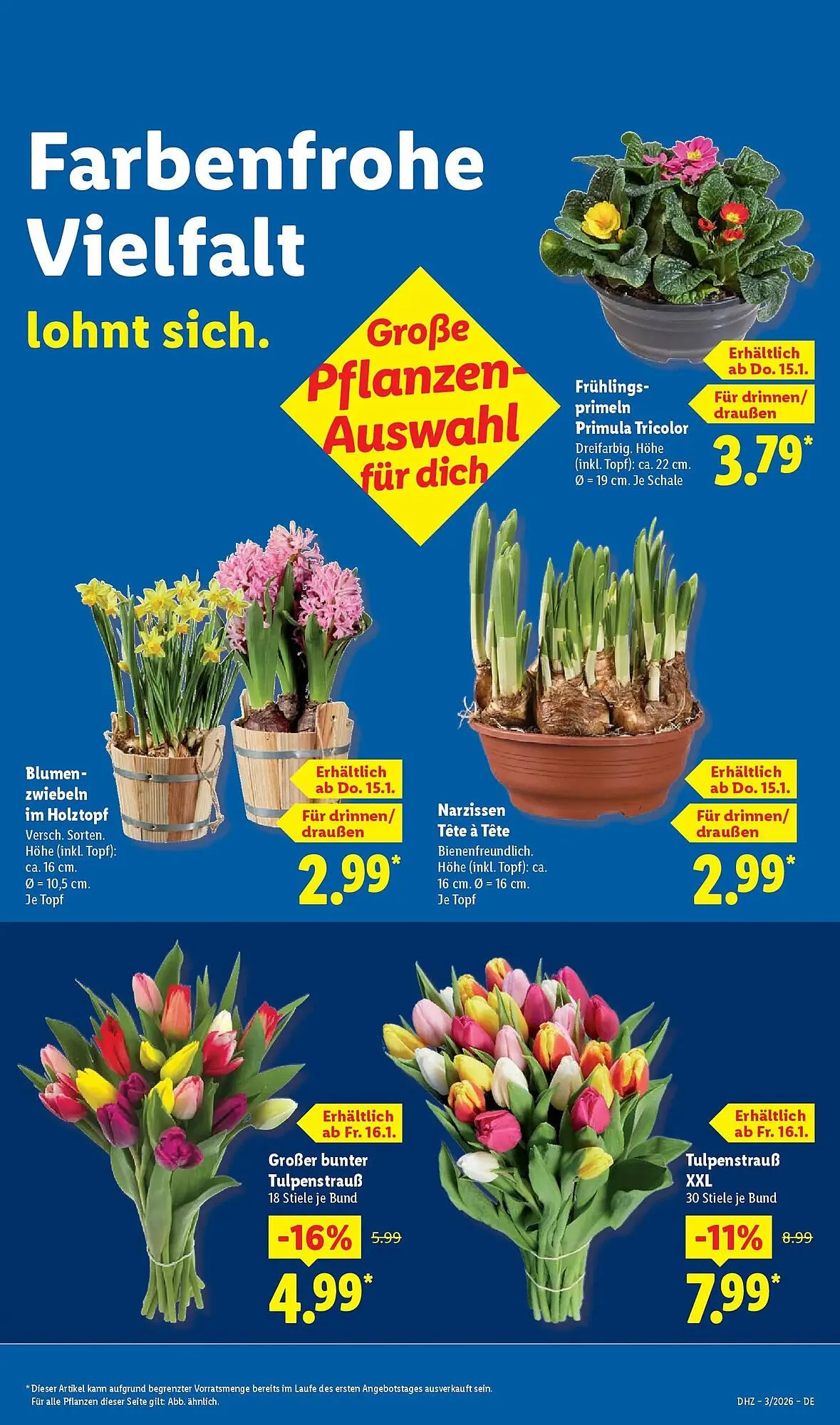 Lidl Prospekt von 11. Januar bis 17. Januar 2026 - Prospekt seite 17