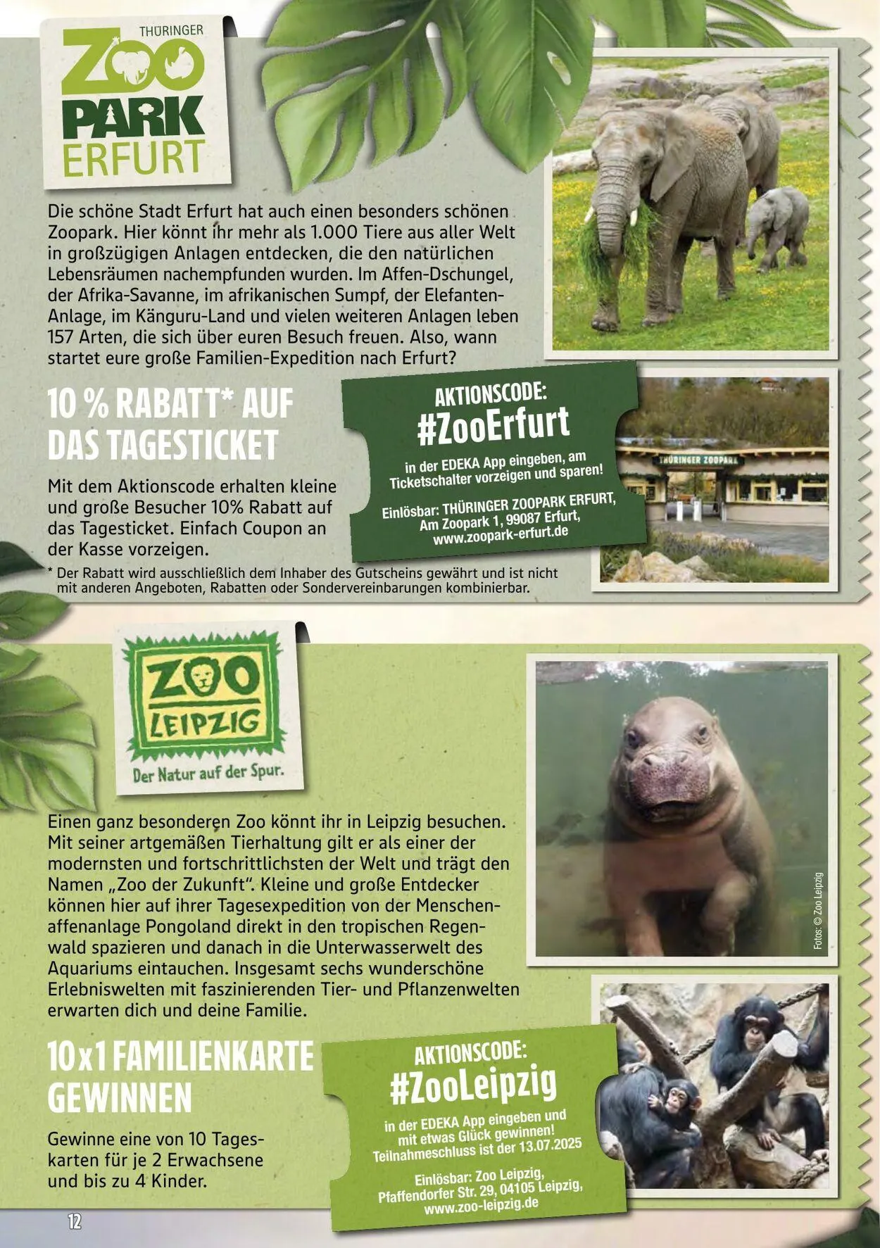 Marktkauf - Döbeln Aktueller Prospekt von 14. Juli bis 19. Juli 2025 - Prospekt seite 58