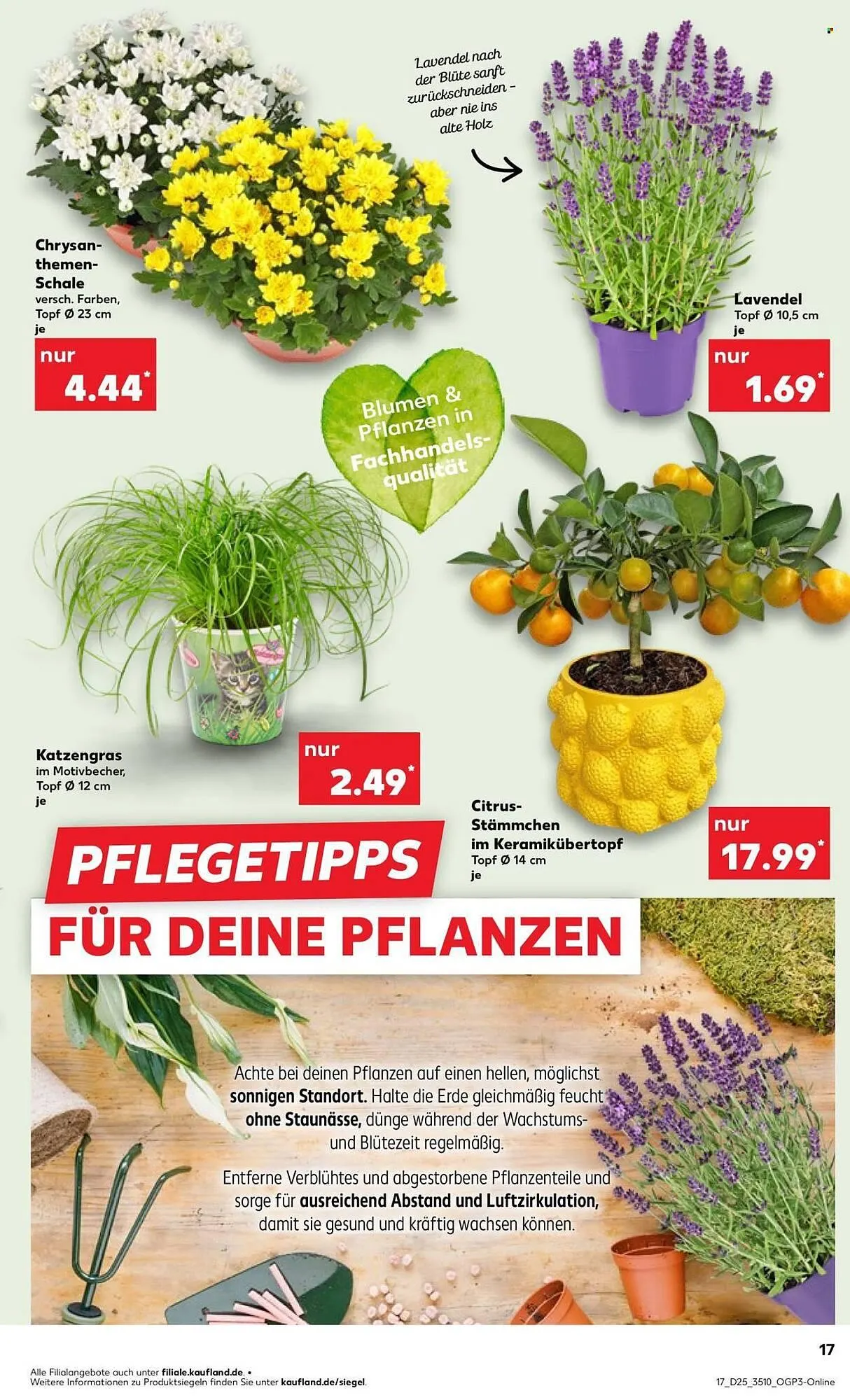 Kaufland Prospekt von 19. Juni bis 25. Juni 2025 - Prospekt seite 17