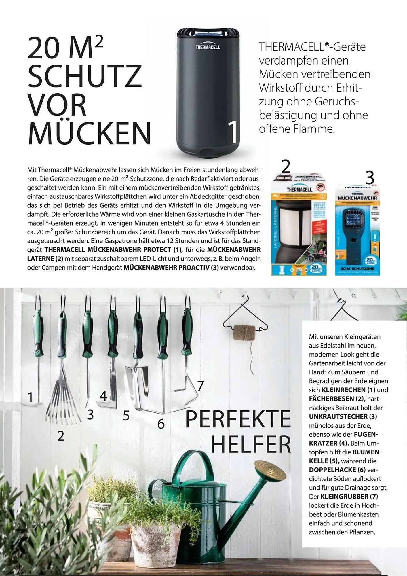 Dehner Prospekt von 1. Juli bis 31. Dezember 2025 - Prospekt seite 61