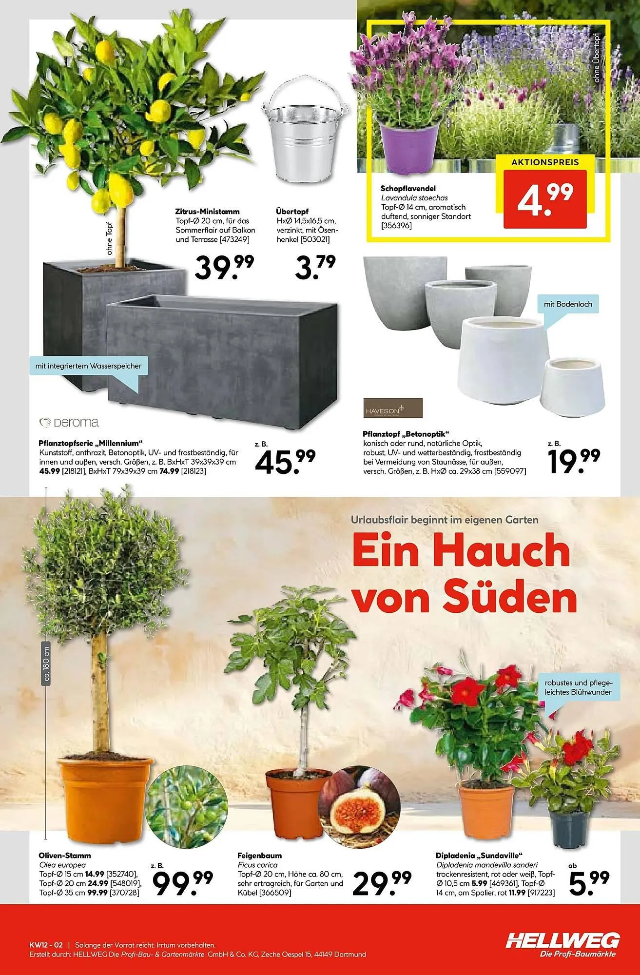 Hellweg Prospekt von 16. März bis 22. März 2026 - Prospekt seite 15