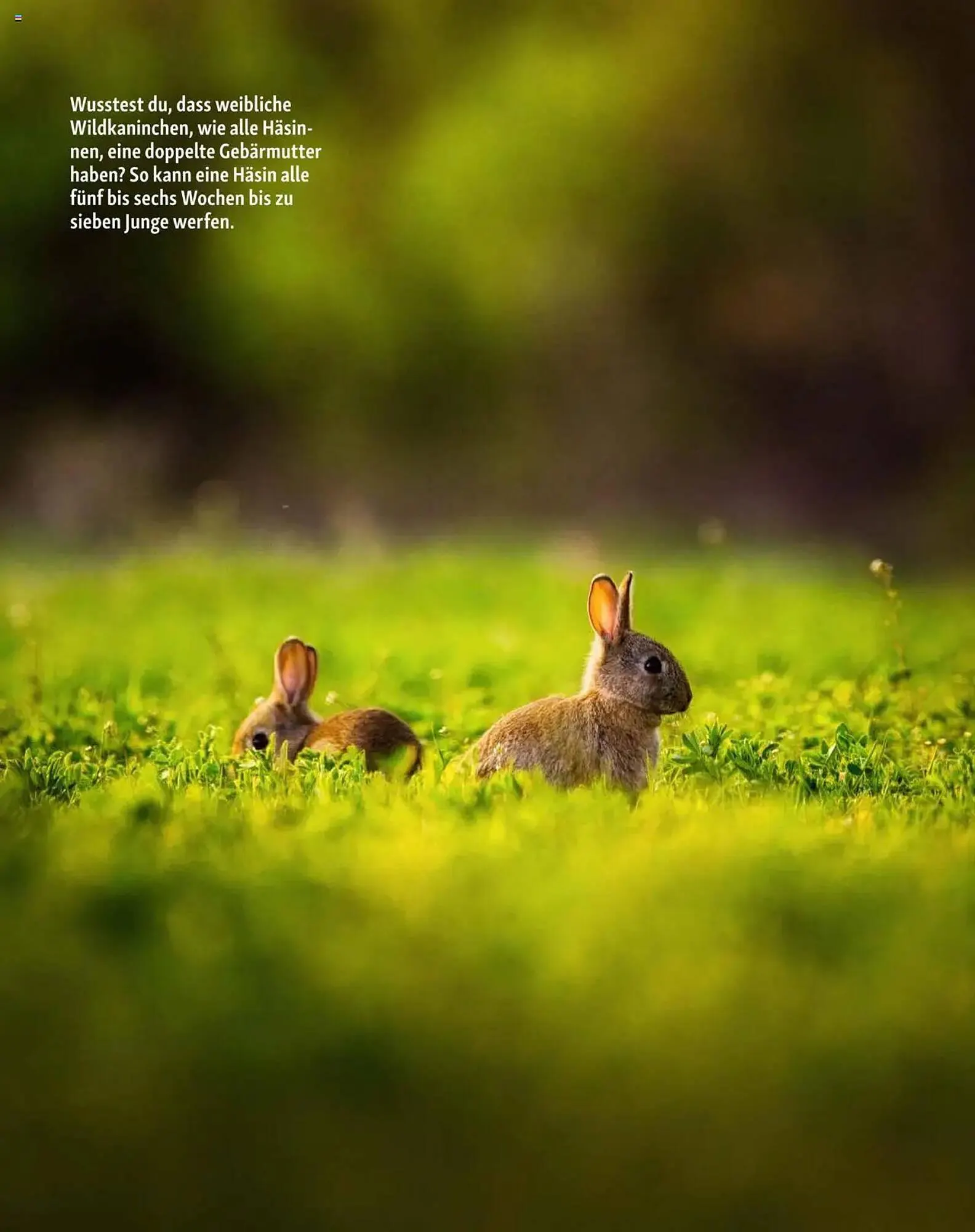 Fressnapf Prospekt von 1. März bis 2. Mai 2025 - Prospekt seite 15