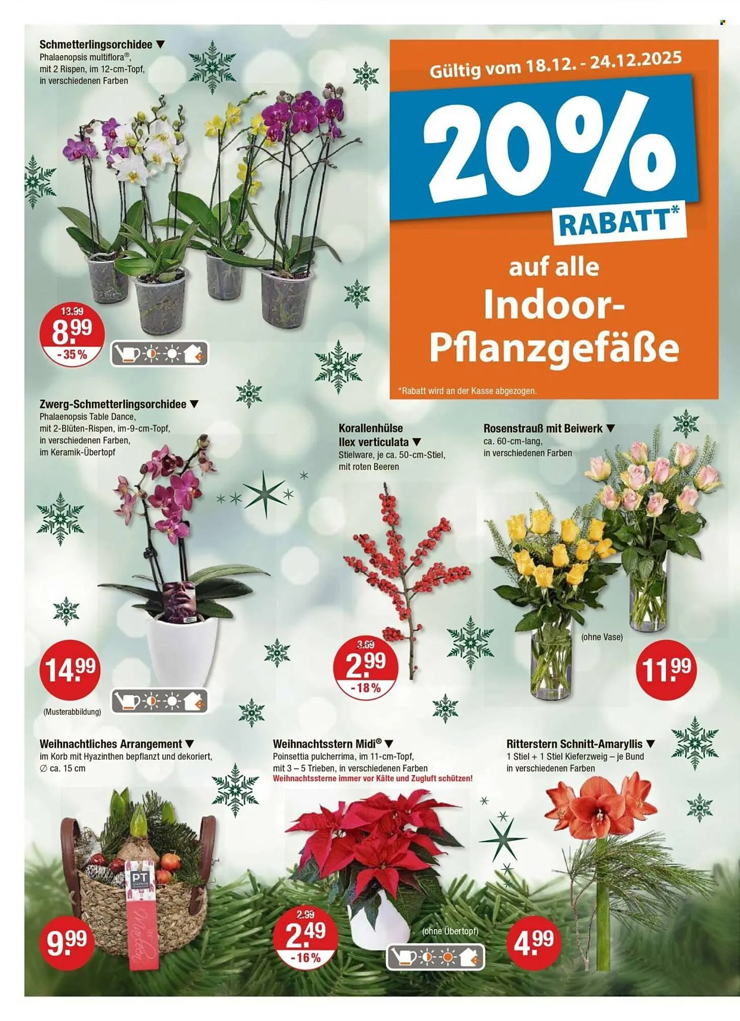 V Markt Prospekt von 18. Dezember bis 24. Dezember 2025 - Prospekt seite 20