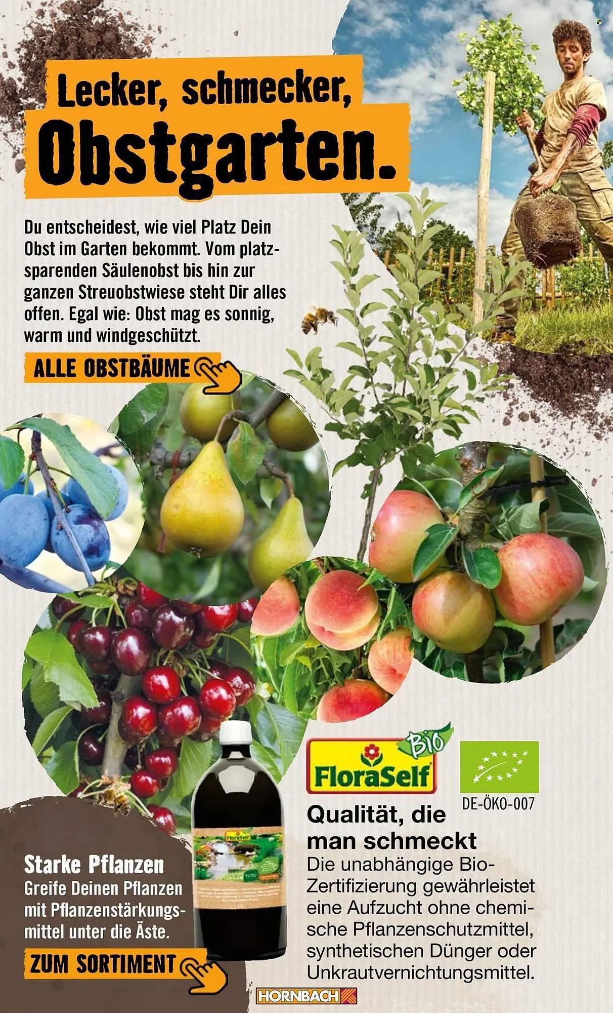 Hornbach Prospekt von 24. April bis 2. Mai 2026 - Prospekt seite 6