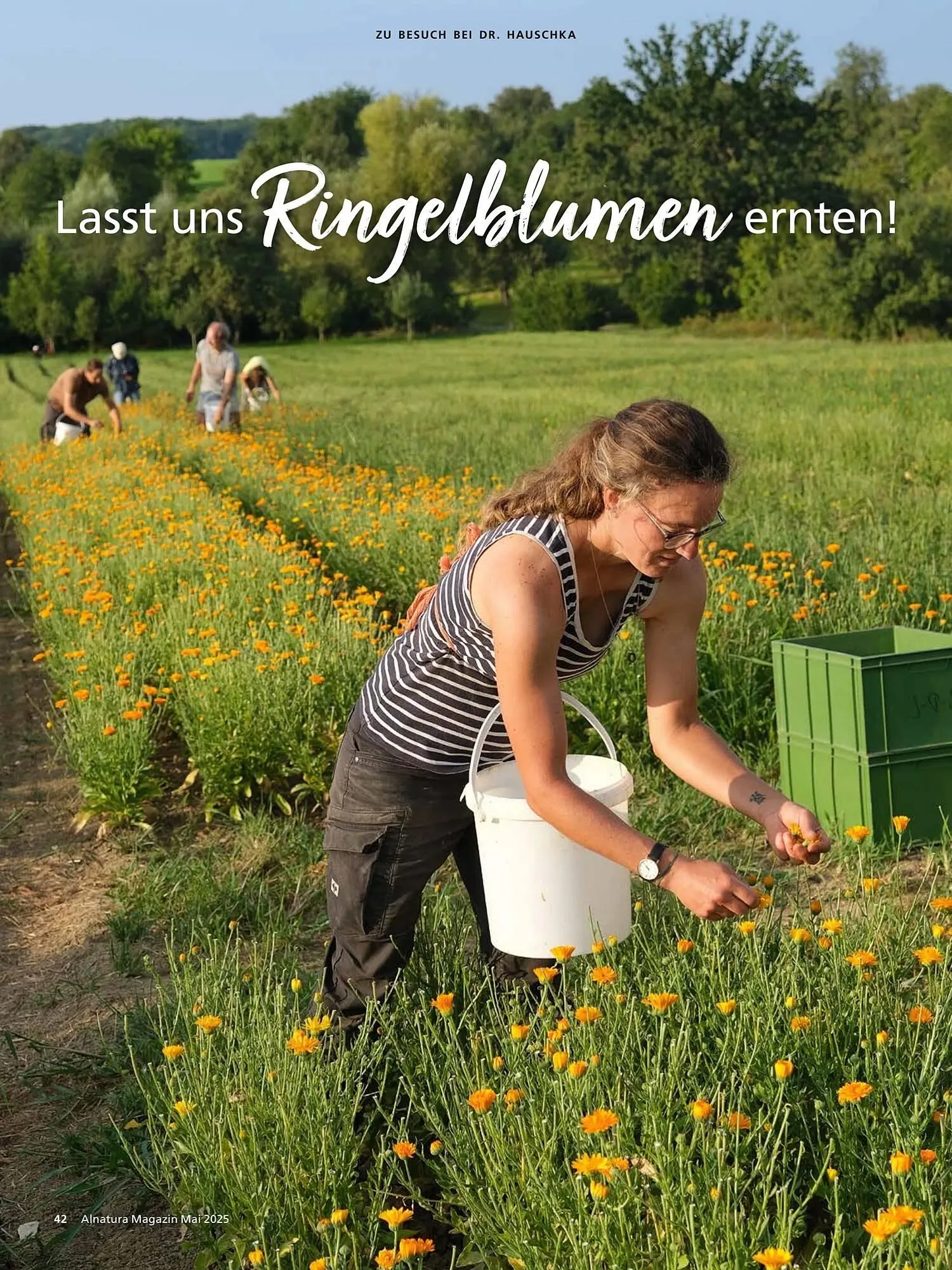 Alnatura Prospekt von 2. Mai bis 1. Juni 2025 - Prospekt seite 42