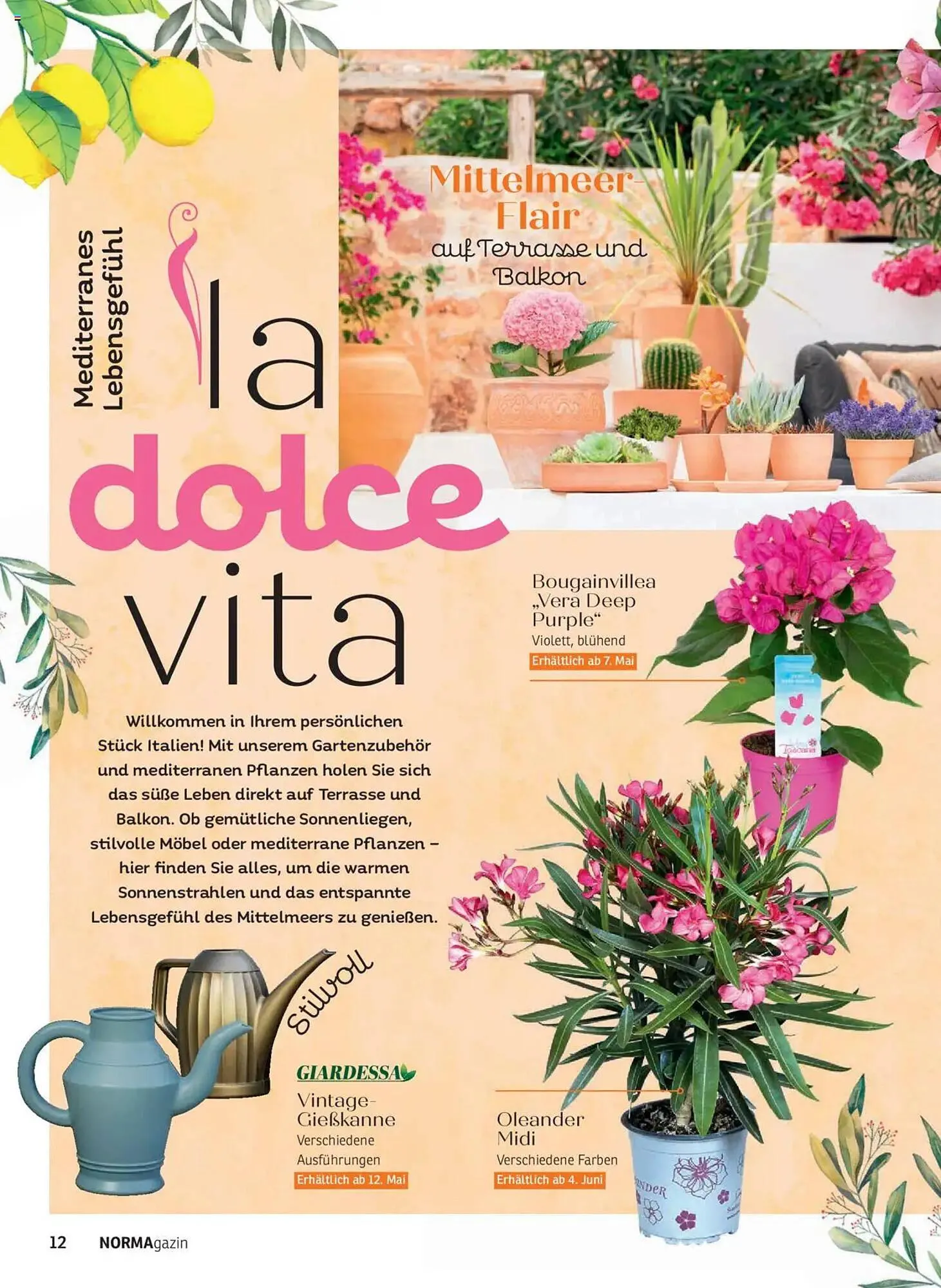 Norma Prospekt von 1. Mai bis 30. Juni 2025 - Prospekt seite 12