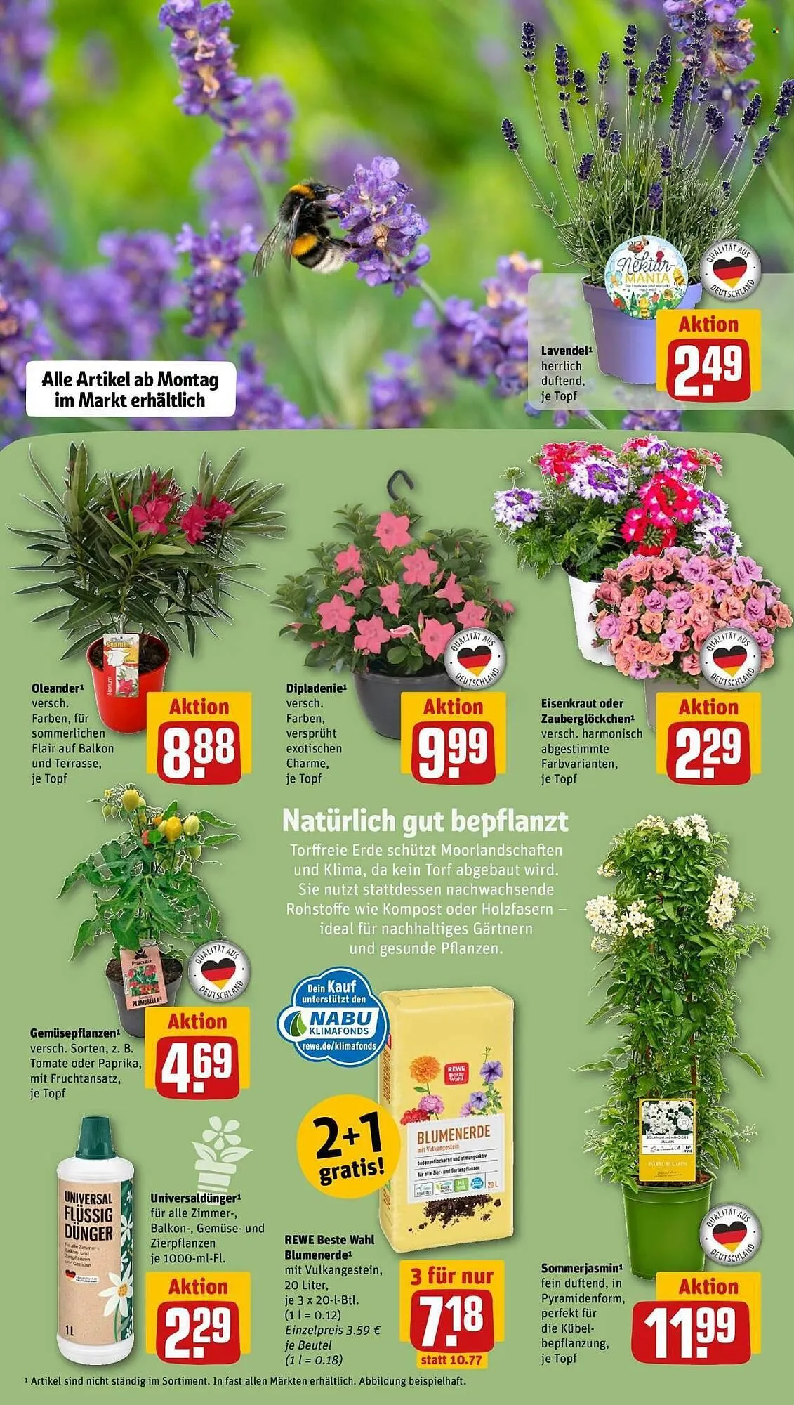REWE Prospekt von 11. Mai bis 17. Mai 2026 - Prospekt seite 7