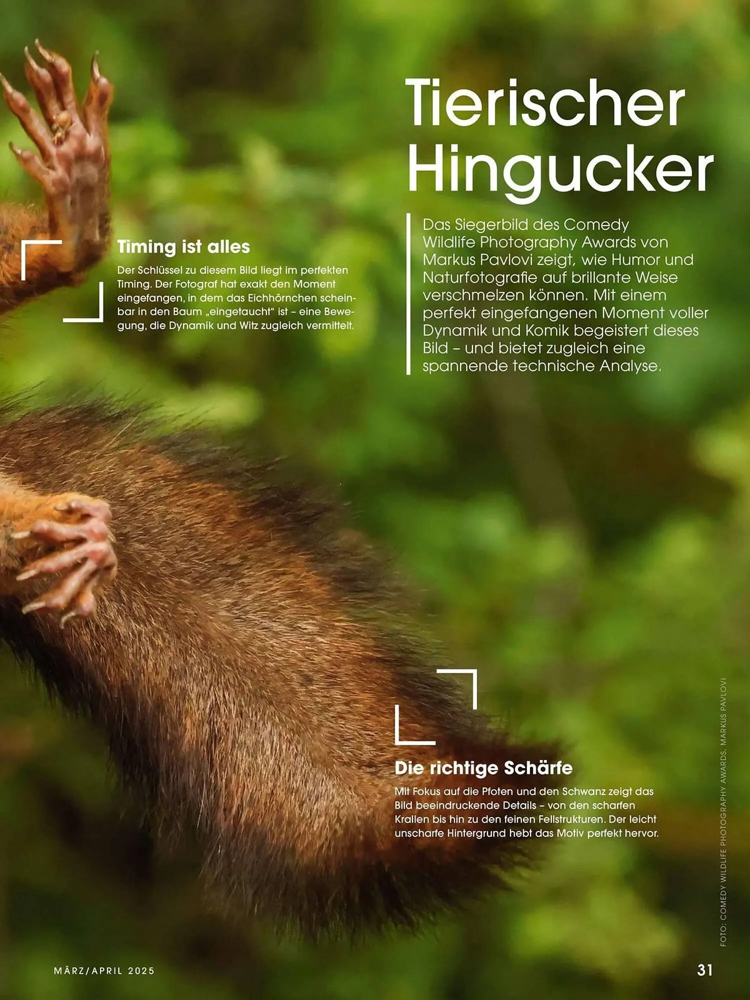 Ringfoto Prospekt von 1. März bis 30. April 2025 - Prospekt seite 31