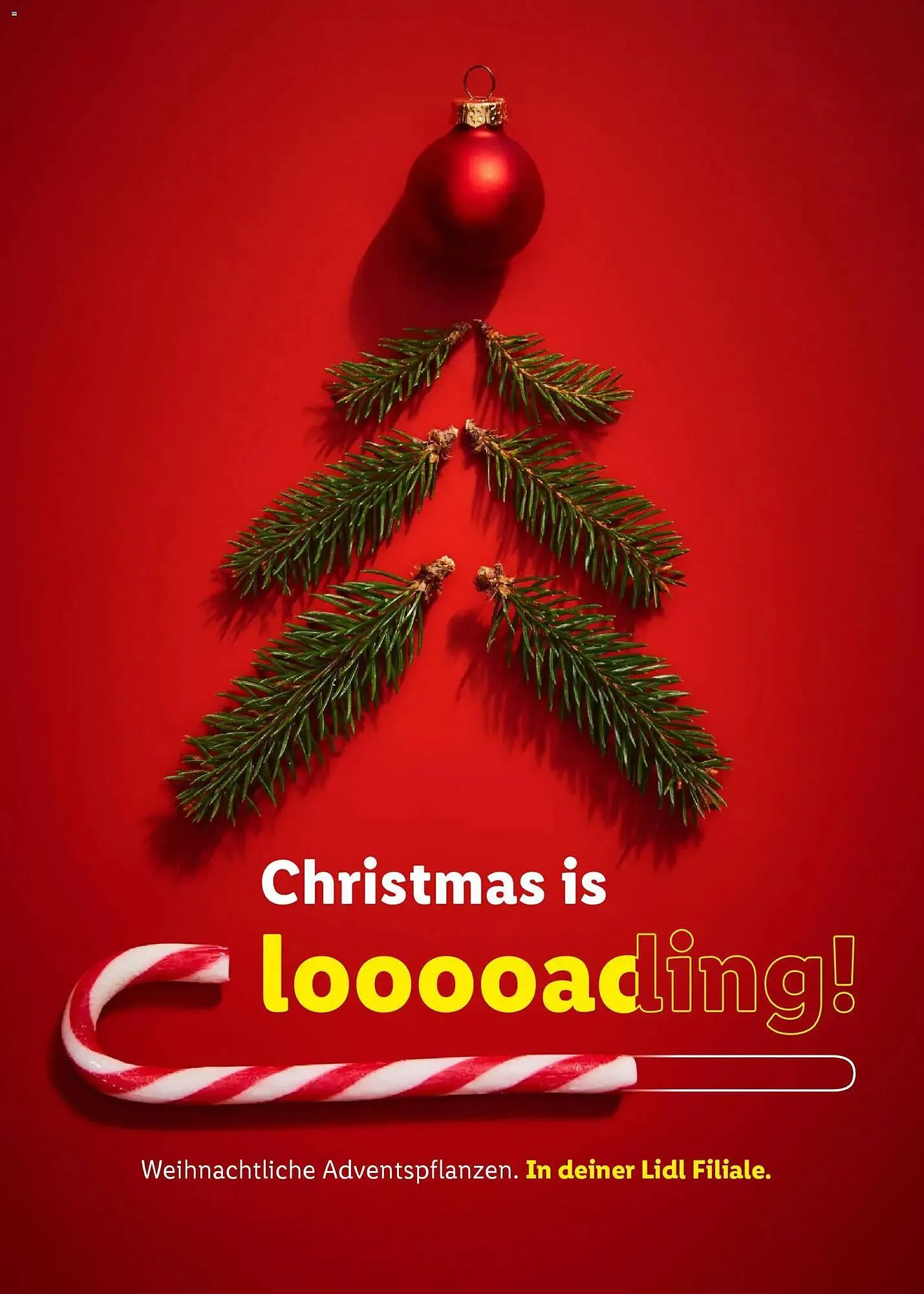 Lidl Prospekt von 31. Oktober bis 27. Dezember 2025 - Prospekt seite 12