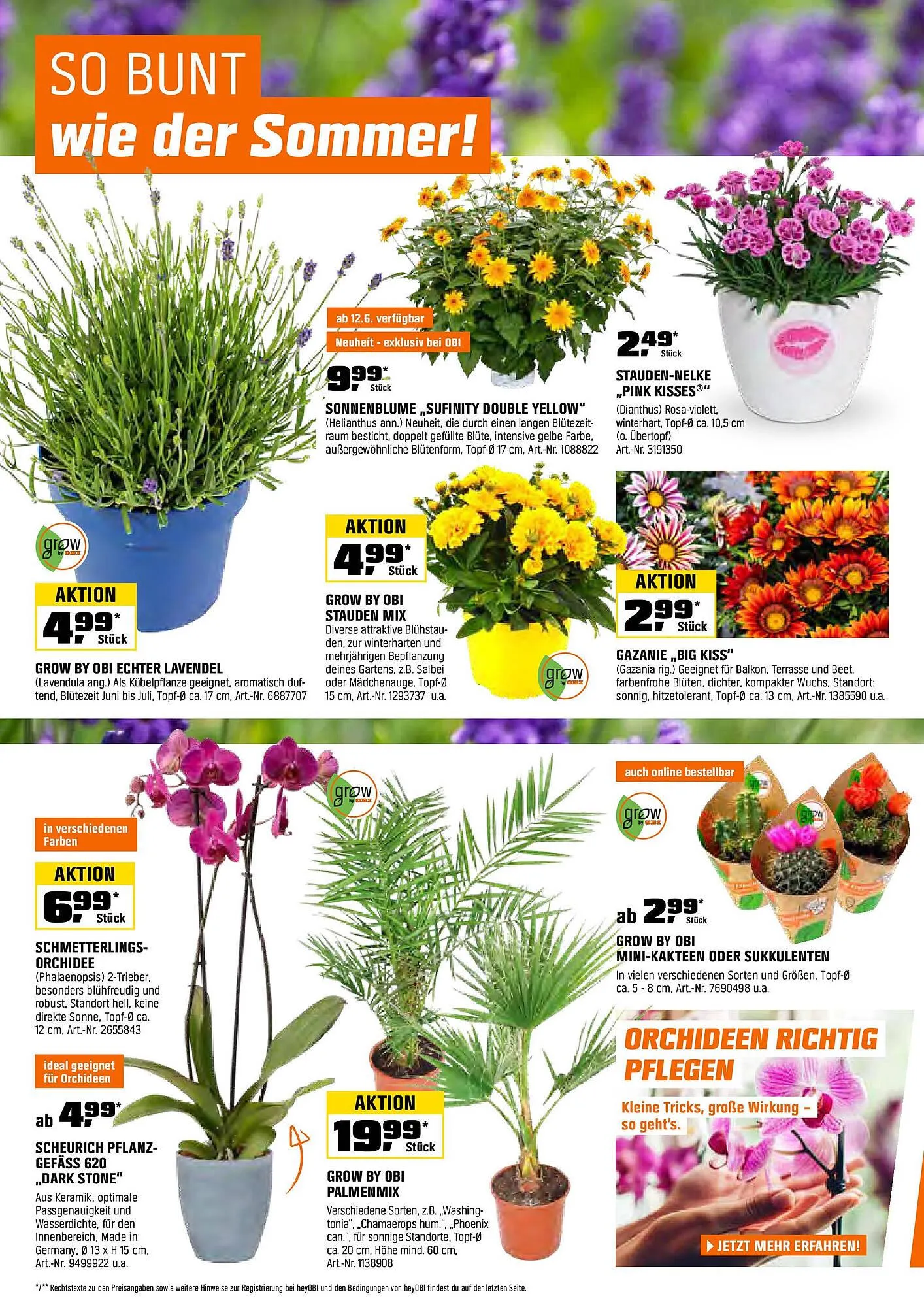 OBI Prospekt von 31. Mai bis 15. Juni 2025 - Prospekt seite 4
