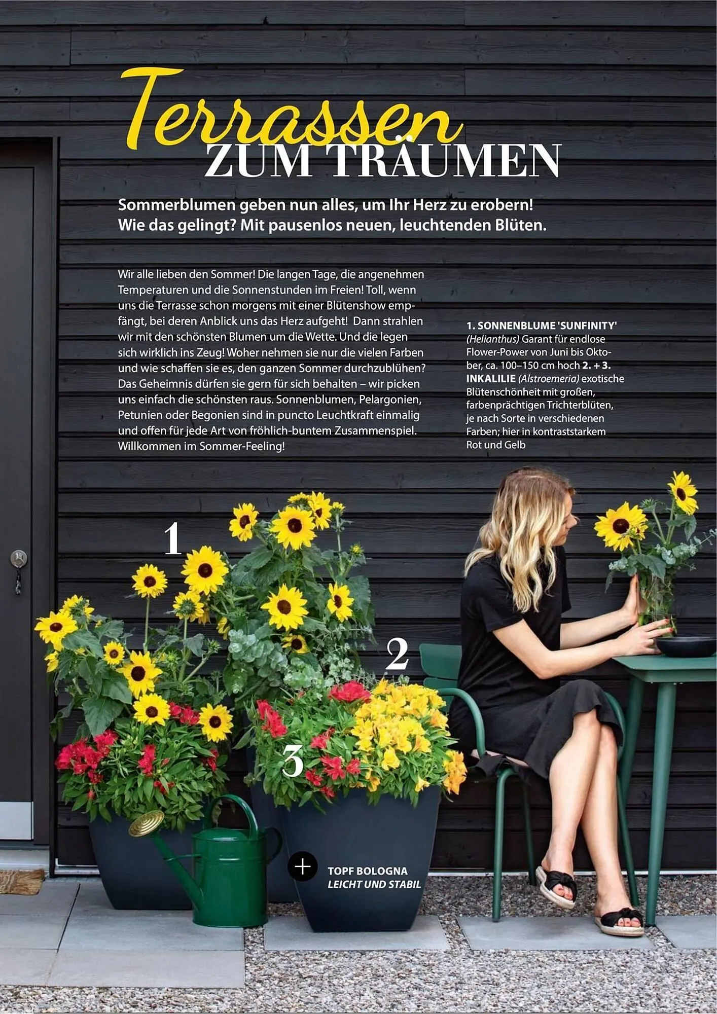 Dehner Prospekt von 1. Juli bis 31. Dezember 2025 - Prospekt seite 22