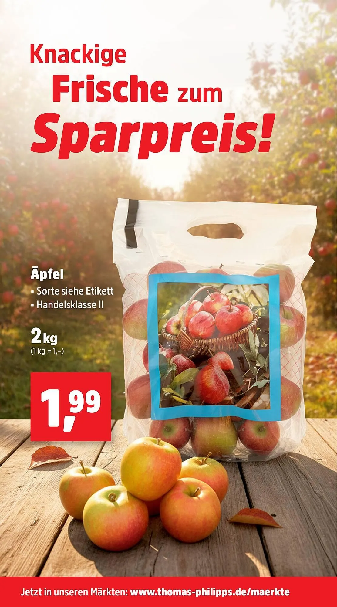 Thomas Philipps Prospekt von 27. Oktober bis 1. November 2025 - Prospekt seite 16