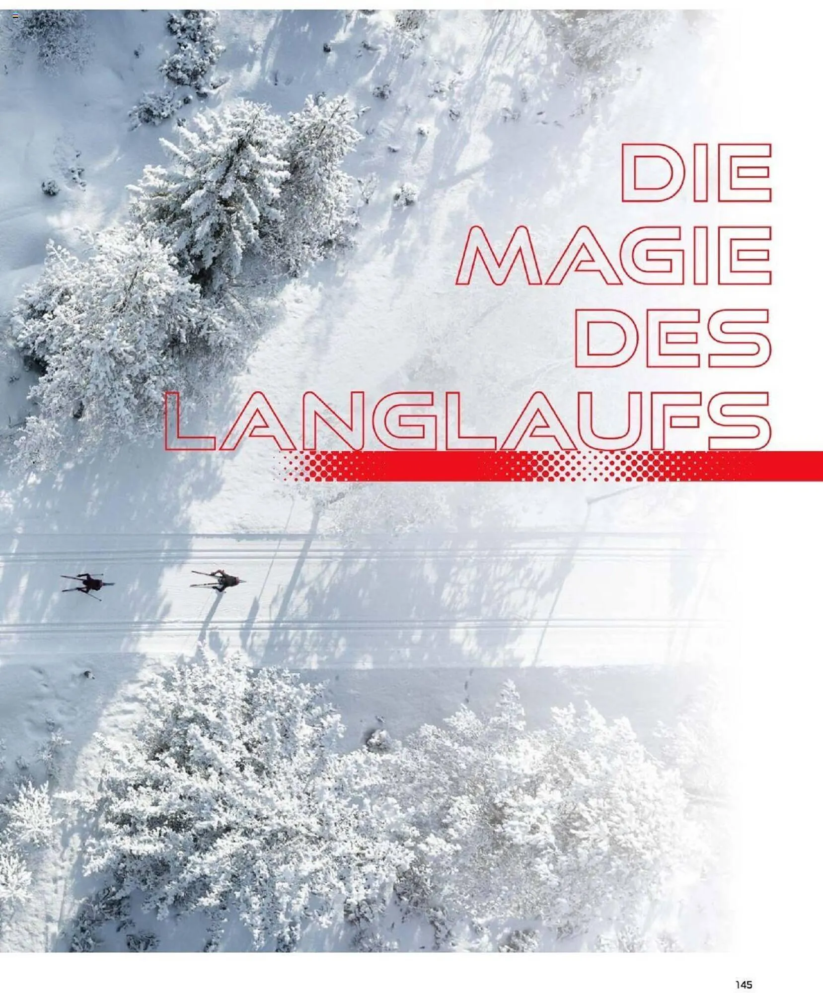 Sport 2000 Prospekt von 4. Dezember bis 28. Februar 2026 - Prospekt seite 121