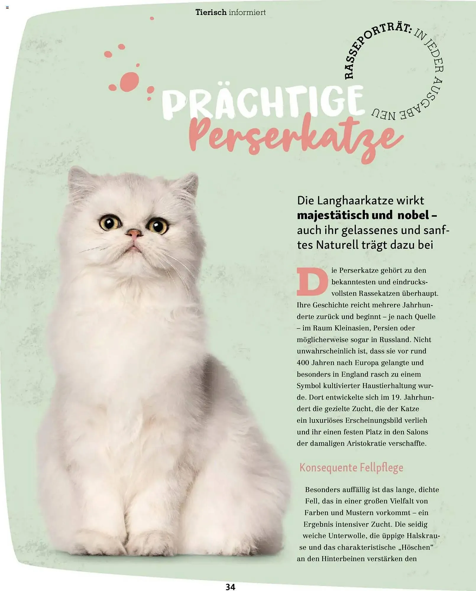 Fressnapf Magazin von 2. März bis 30. April 2026 - Prospekt seite 34