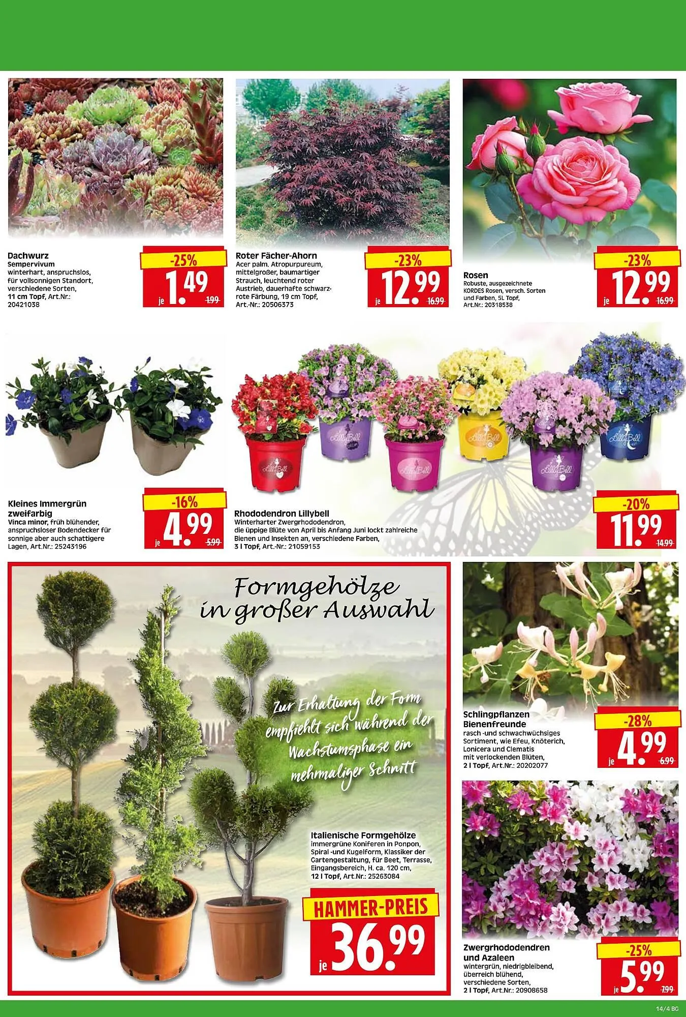 Herkules Baumarkt Prospekt von 30. März bis 4. April 2026 - Prospekt seite 4