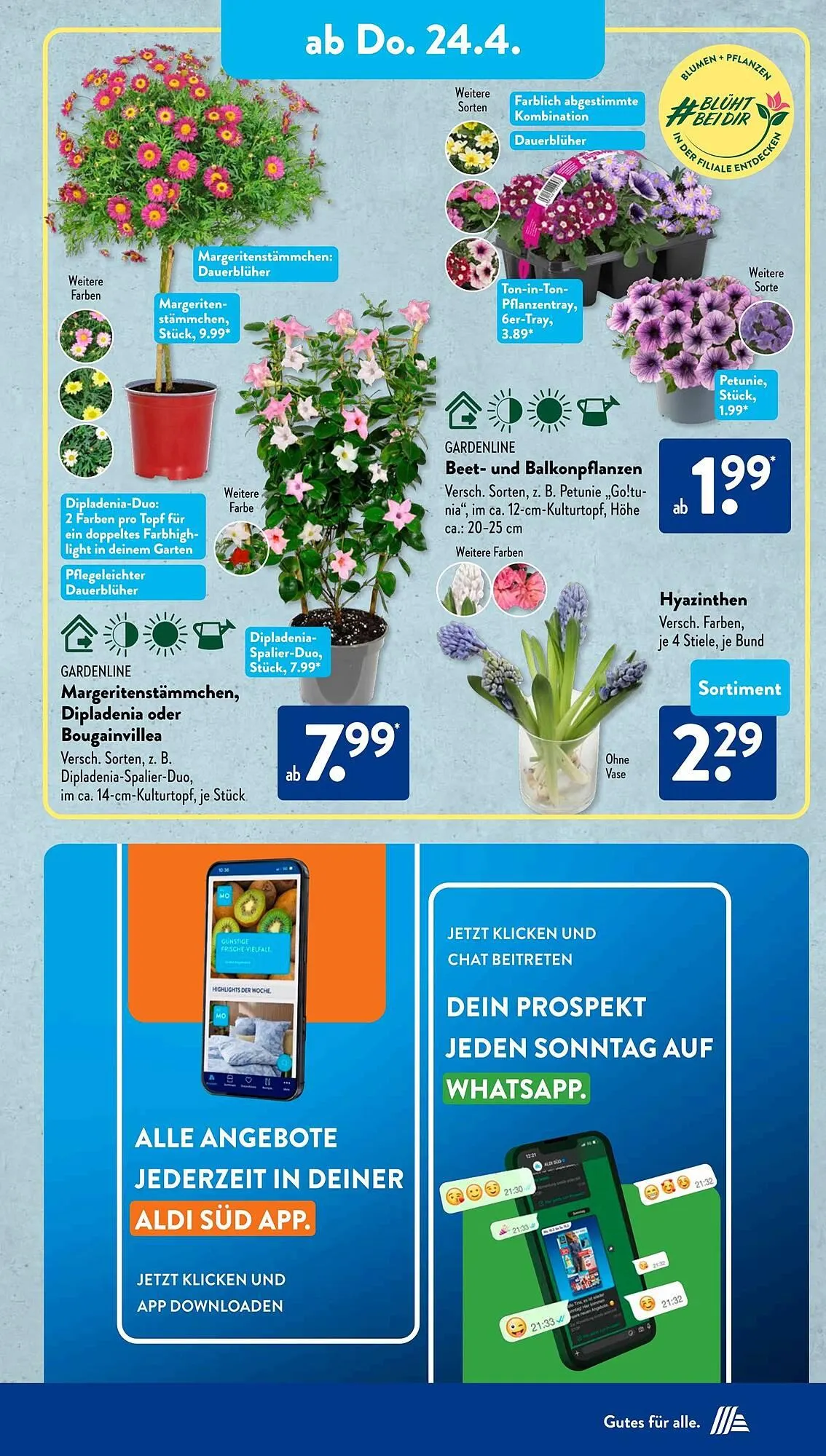 Aldi Süd Prospekt von 22. April bis 27. April 2025 - Prospekt seite 17
