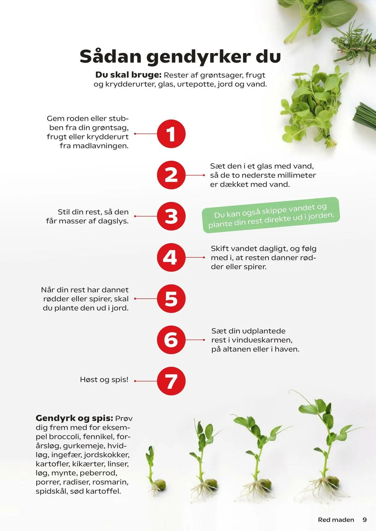 Netto Aktueller Prospekt von 19. September bis 20. September 2026 - Prospekt seite 9