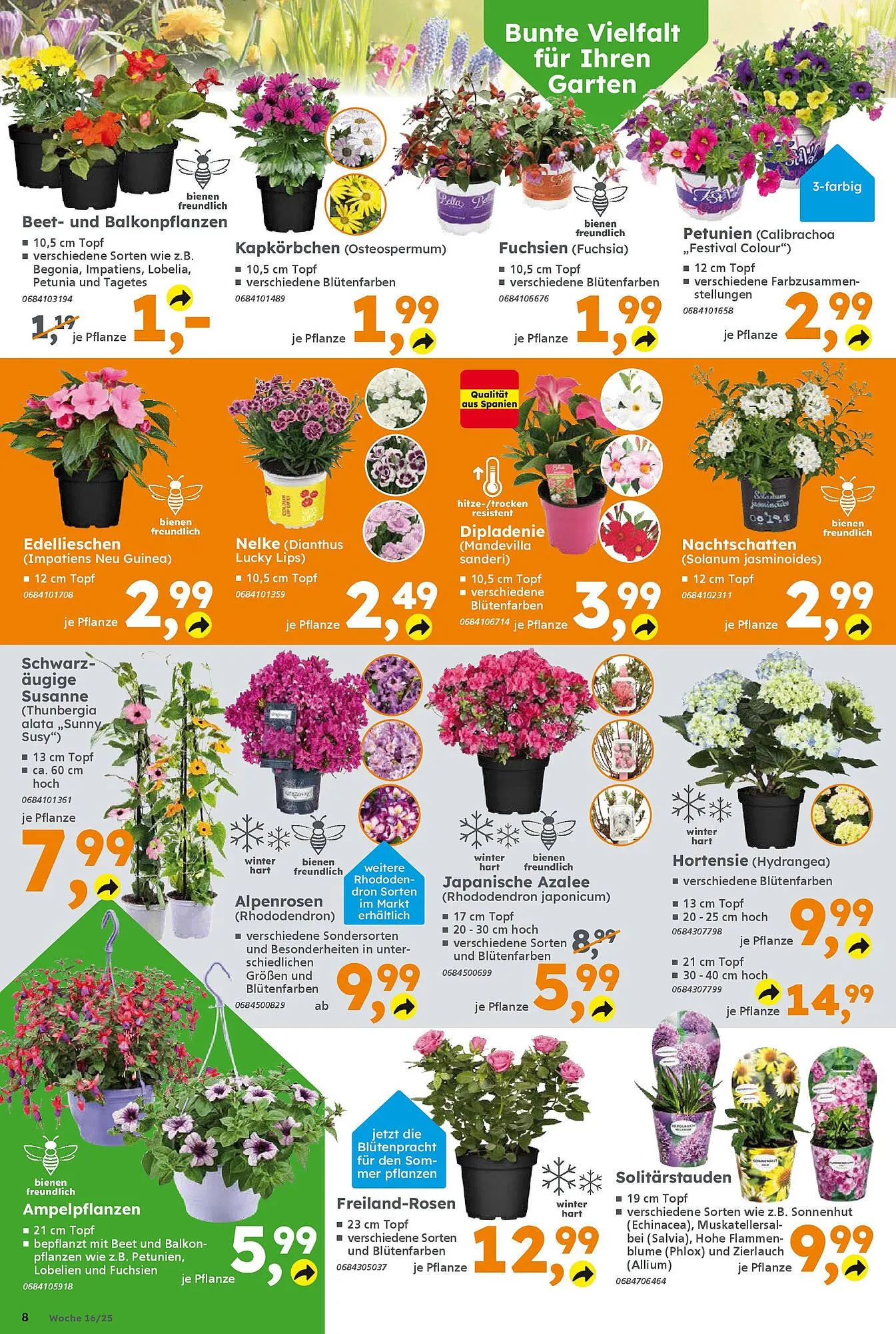 Globus Baumarkt Prospekt von 13. April bis 19. April 2025 - Prospekt seite 8