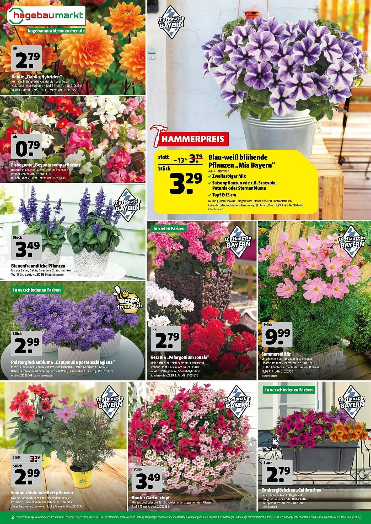 Hagebau Prospekt von 4. Juni bis 13. Juni 2025 - Prospekt seite 2