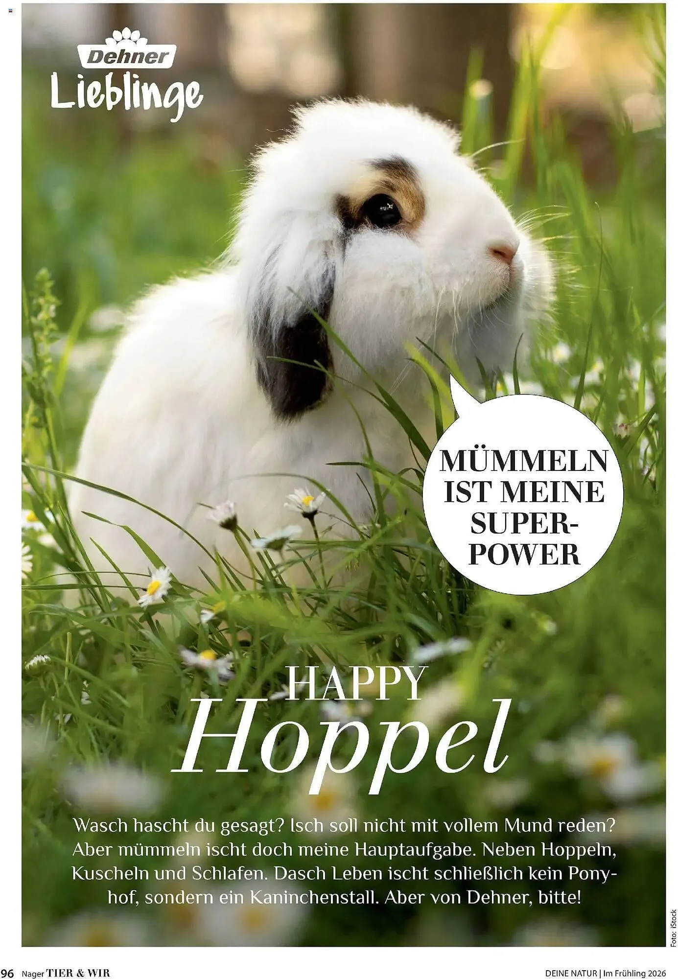 Dehner Prospekt von 4. März bis 31. Mai 2026 - Prospekt seite 96