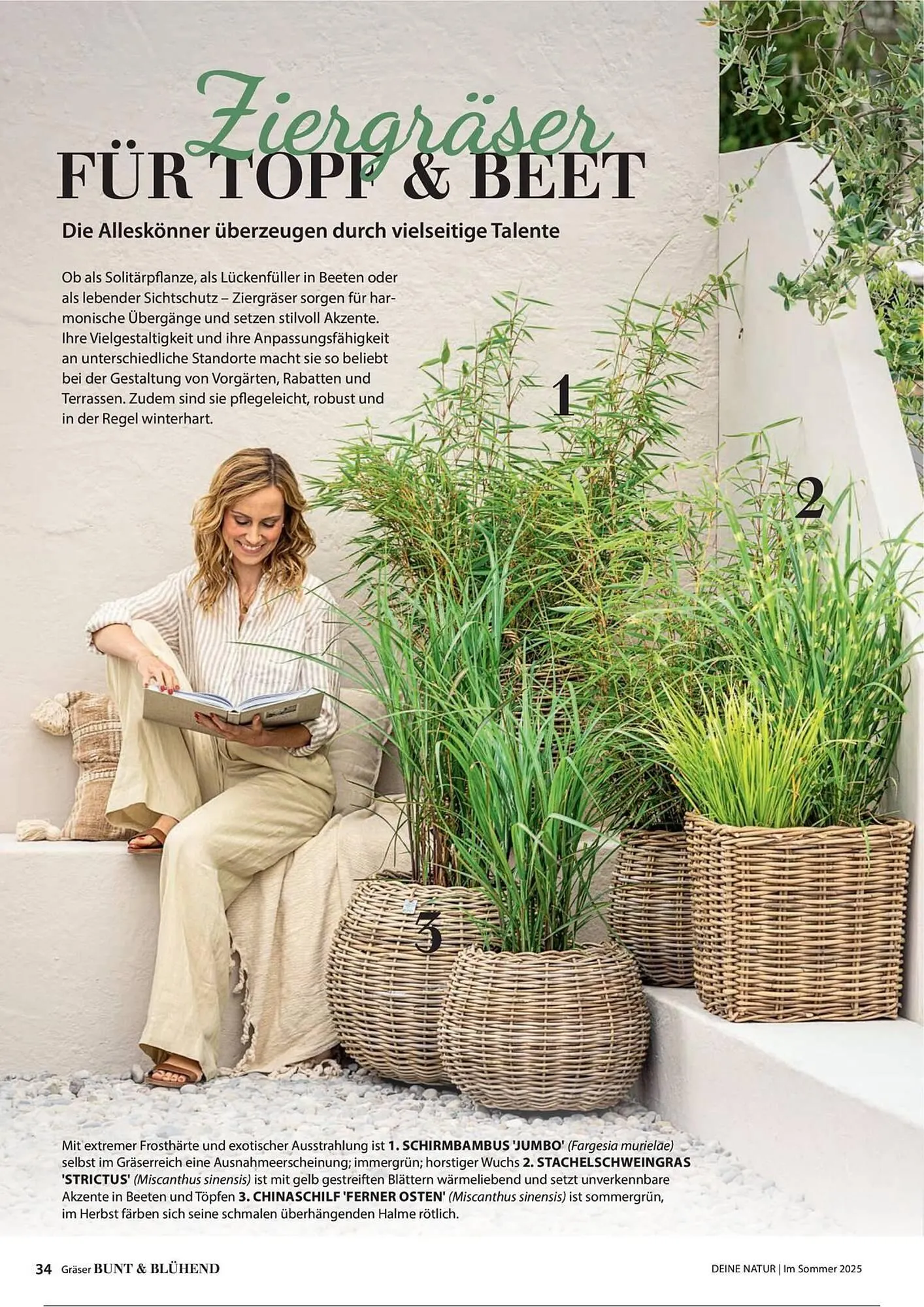 Dehner Prospekt von 1. Juli bis 31. Dezember 2025 - Prospekt seite 34