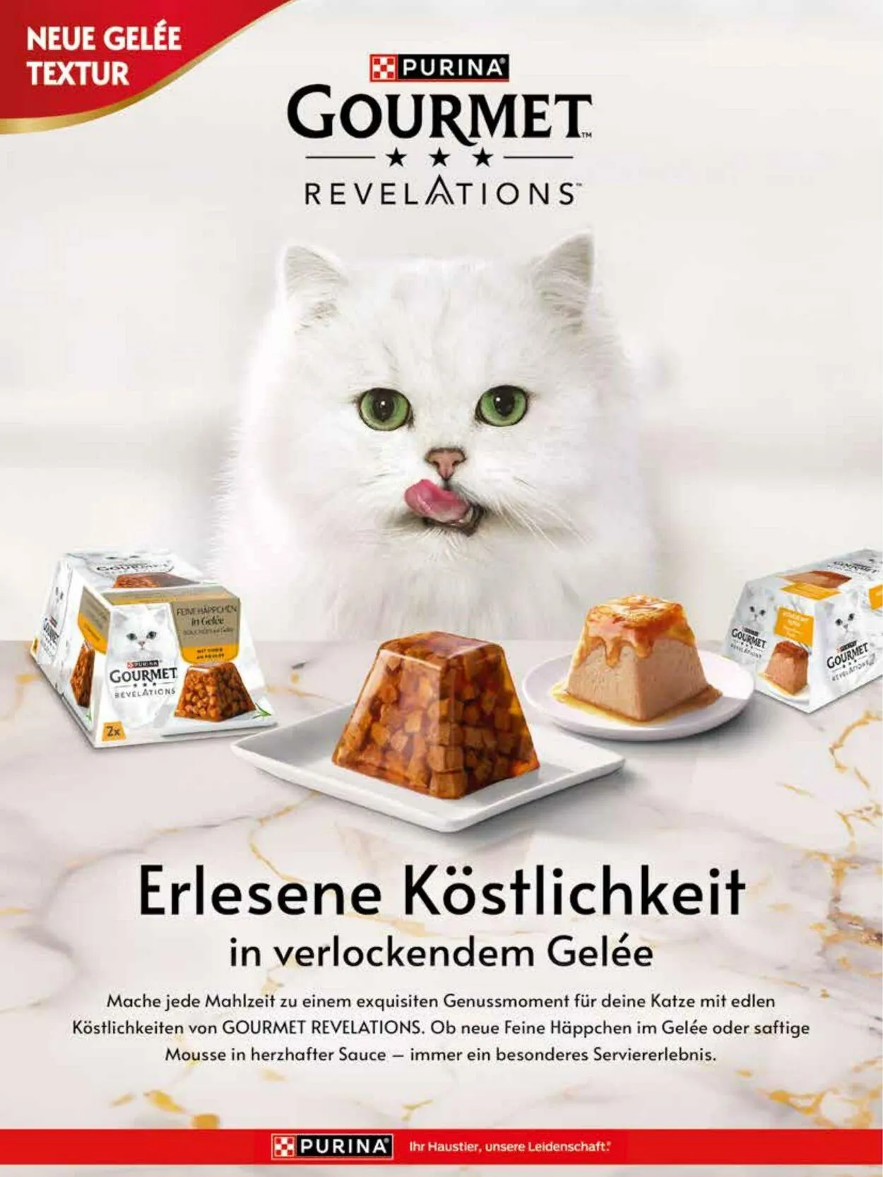 Futterhaus Aktueller Prospekt von 1. August bis 31. August 2025 - Prospekt seite 36