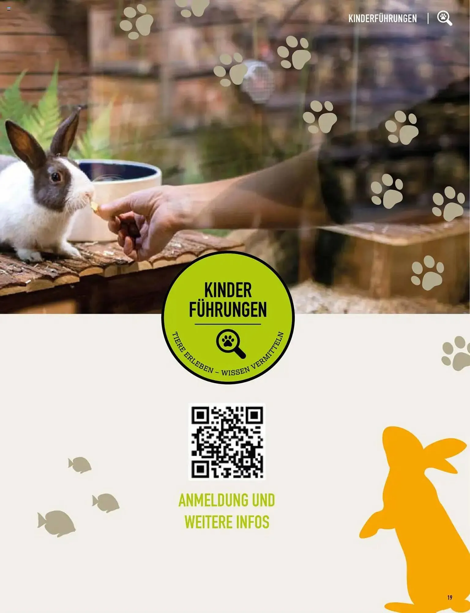 Kölle Zoo Prospekt von 3. Juli bis 9. Juli 2025 - Prospekt seite 19