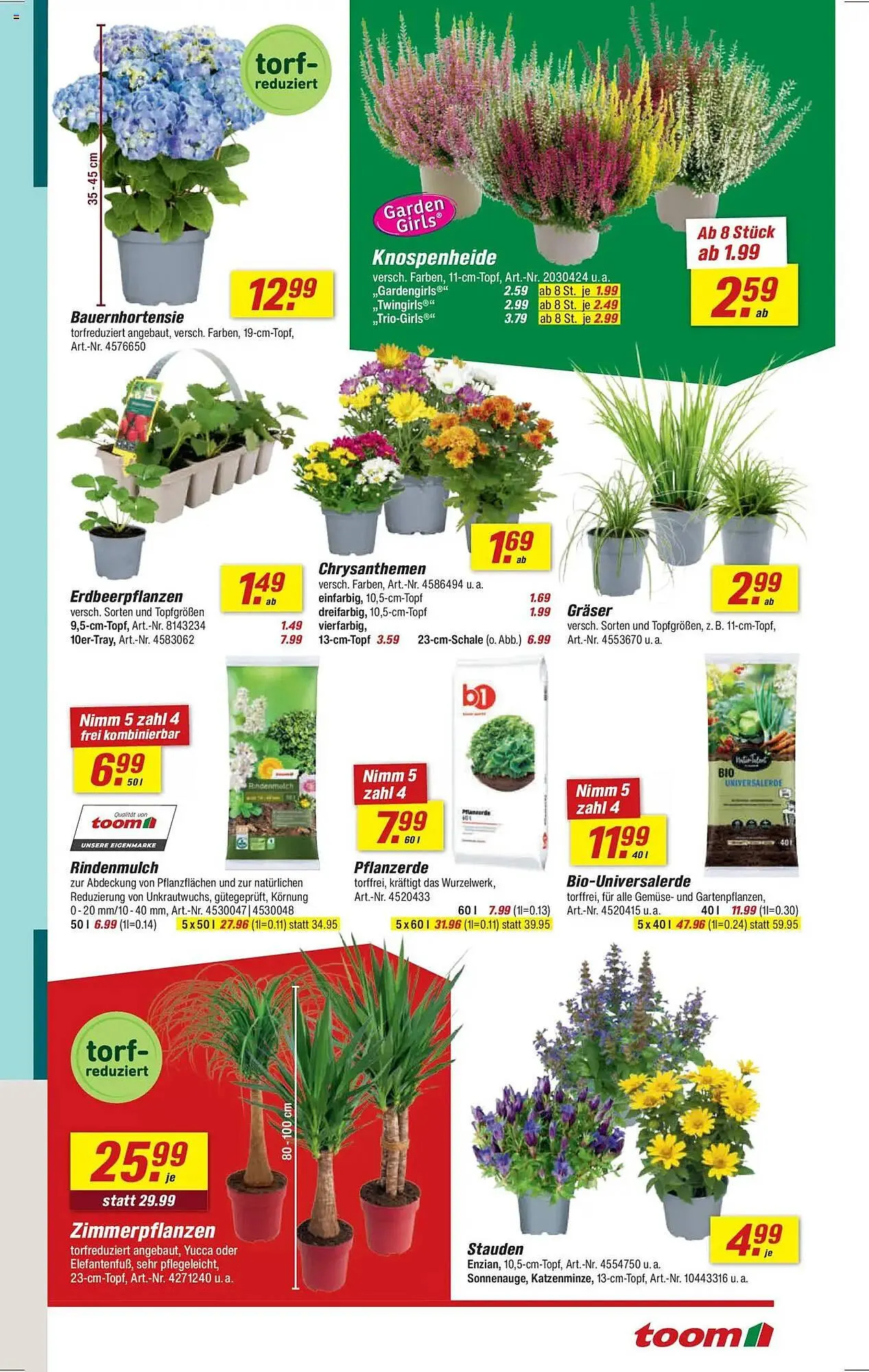 toom Baumarkt Prospekt von 11. August bis 24. August 2025 - Prospekt seite 3