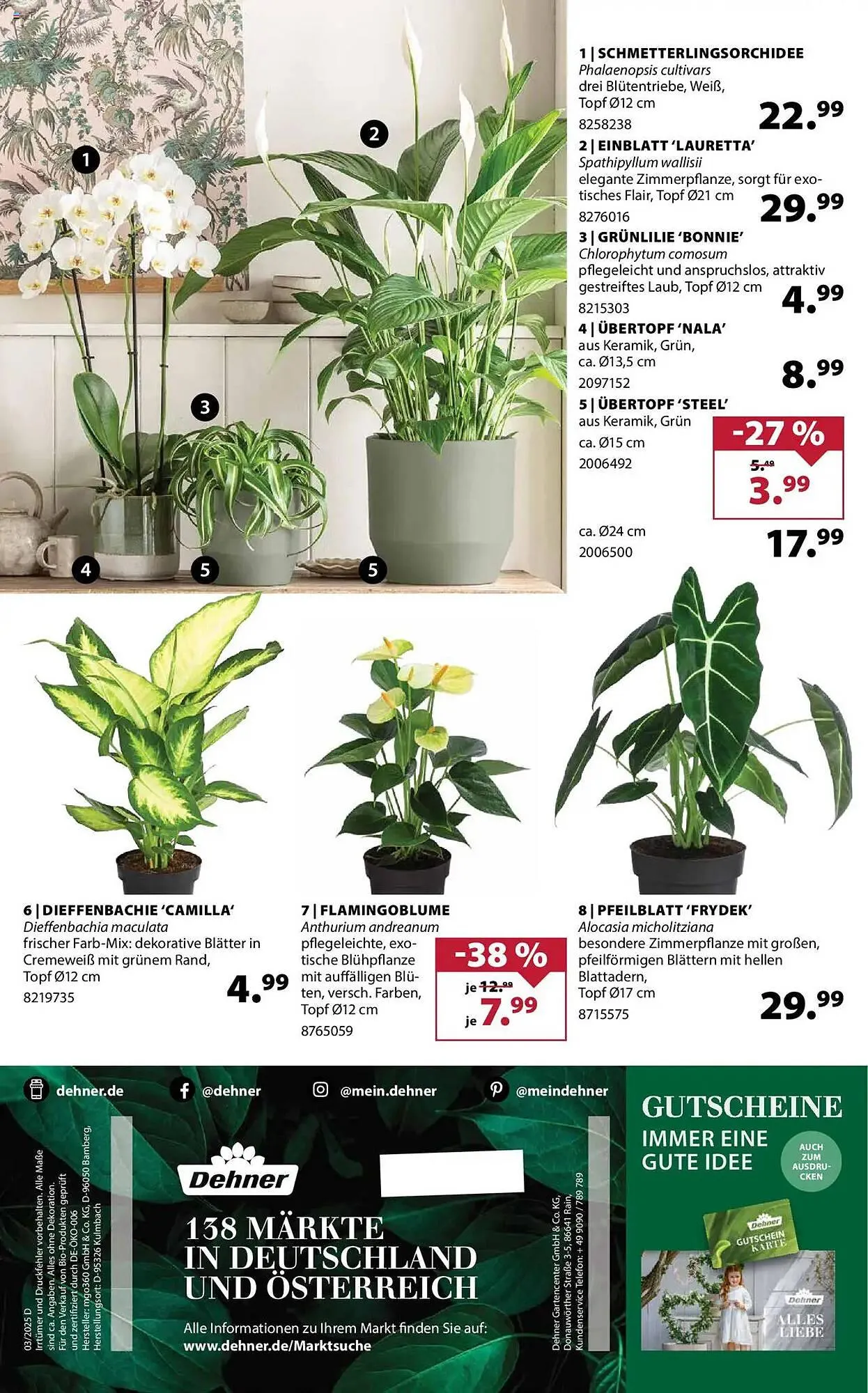 Dehner Prospekt von 23. April bis 28. April 2025 - Prospekt seite 16