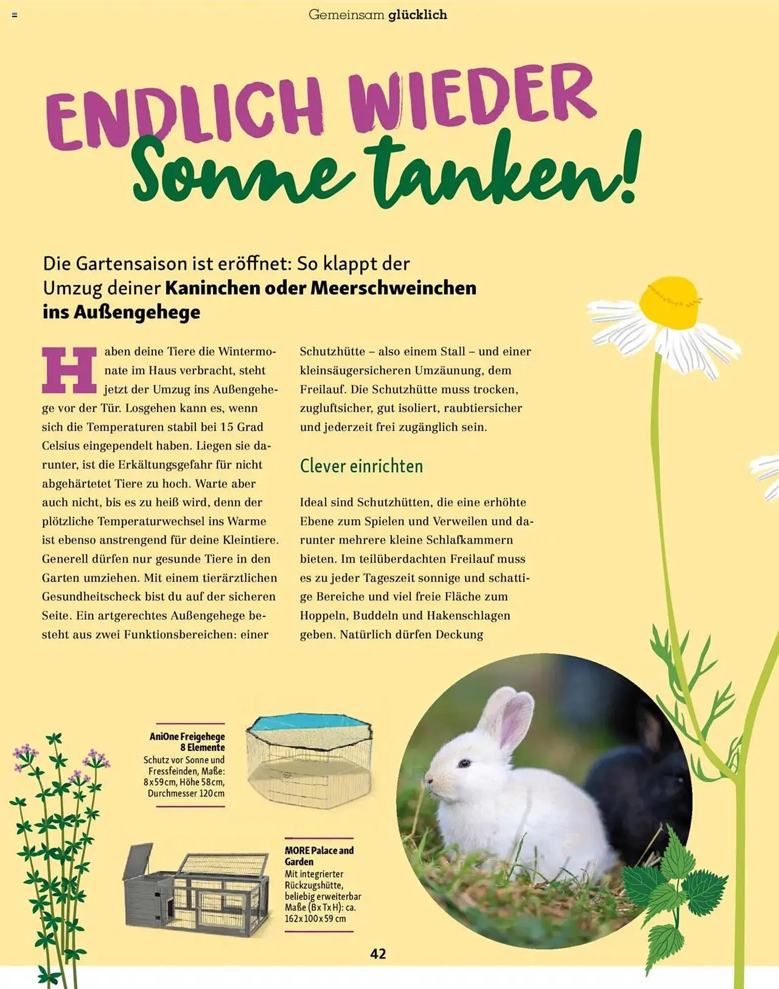 Fressnapf Prospekt von 1. Mai bis 30. Juni 2025 - Prospekt seite 42