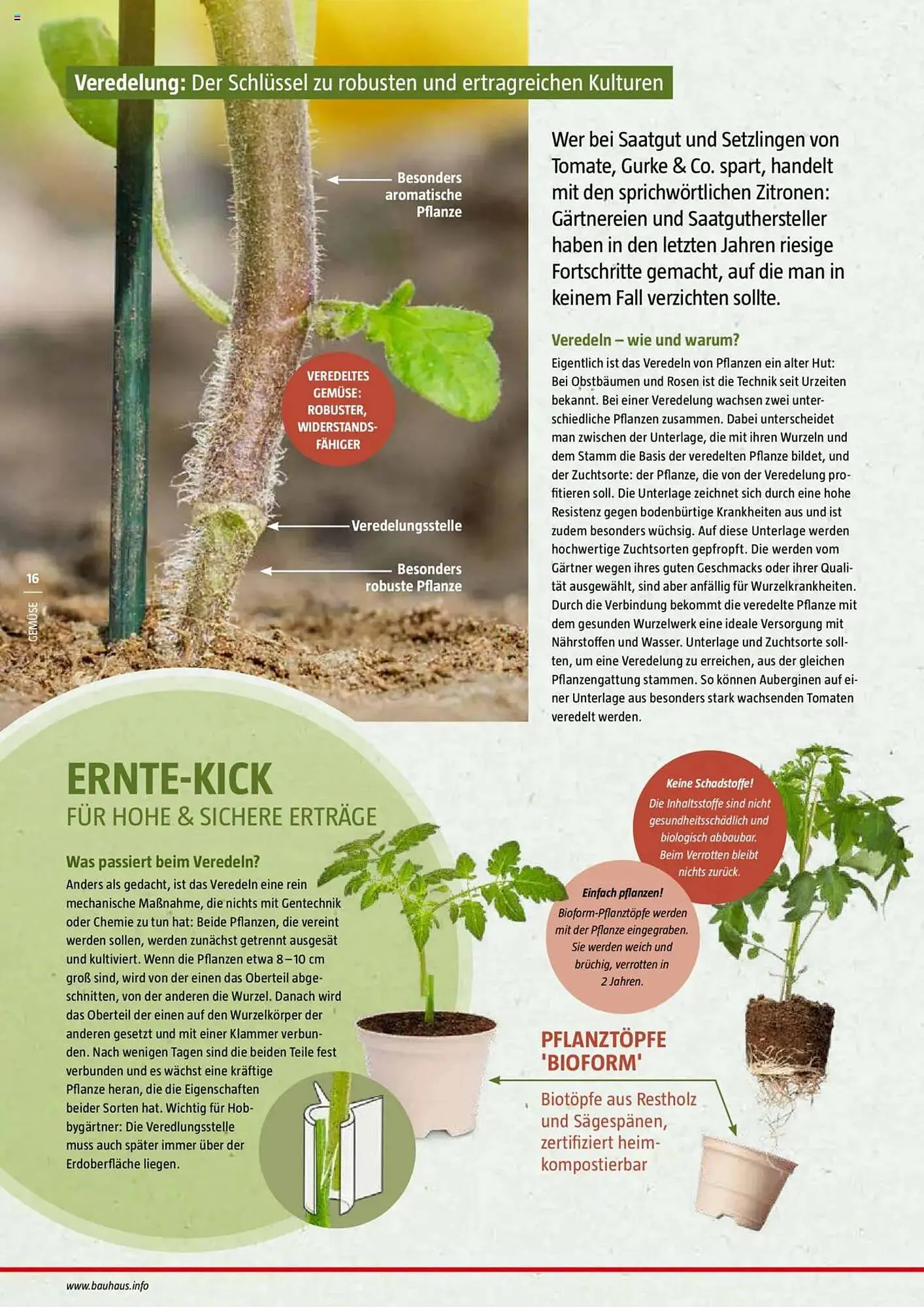 Bauhaus Prospekt von 20. Januar bis 30. Juni 2025 - Prospekt seite 16