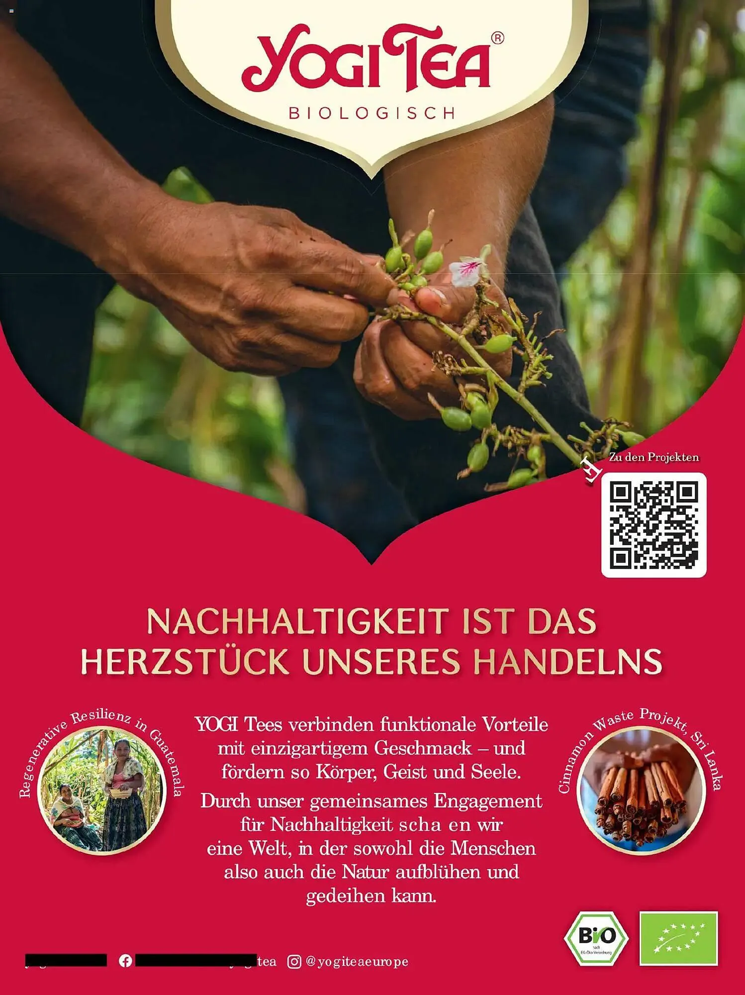 Budni Prospekt von 1. November bis 31. Dezember 2025 - Prospekt seite 17