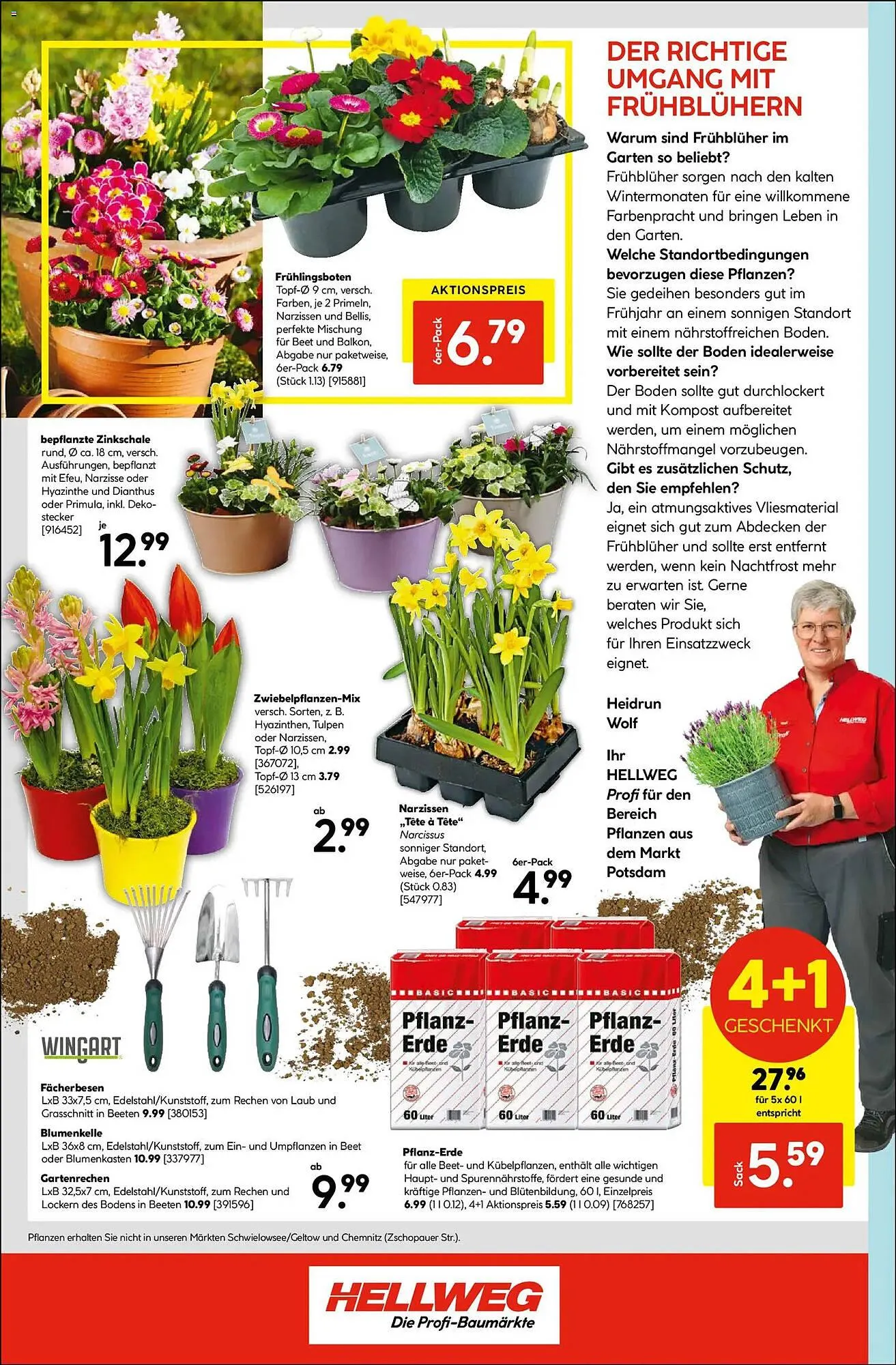 Hellweg Prospekt von 23. Februar bis 28. Februar 2026 - Prospekt seite 16