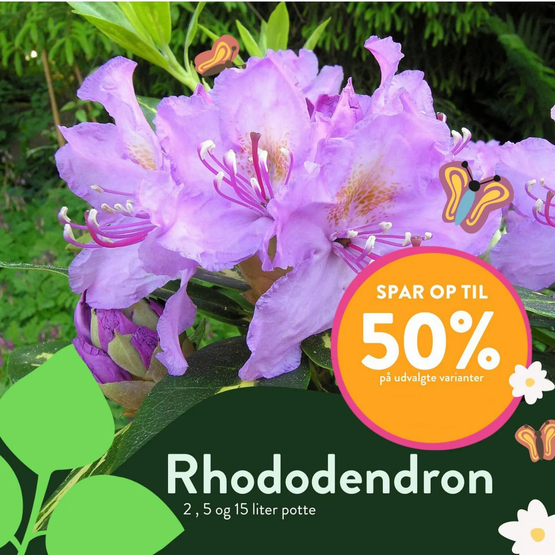Plantorama tilbudsavis Gyldig indtil 26. juni - 10. juli 2023 - tilbudsavis side 5