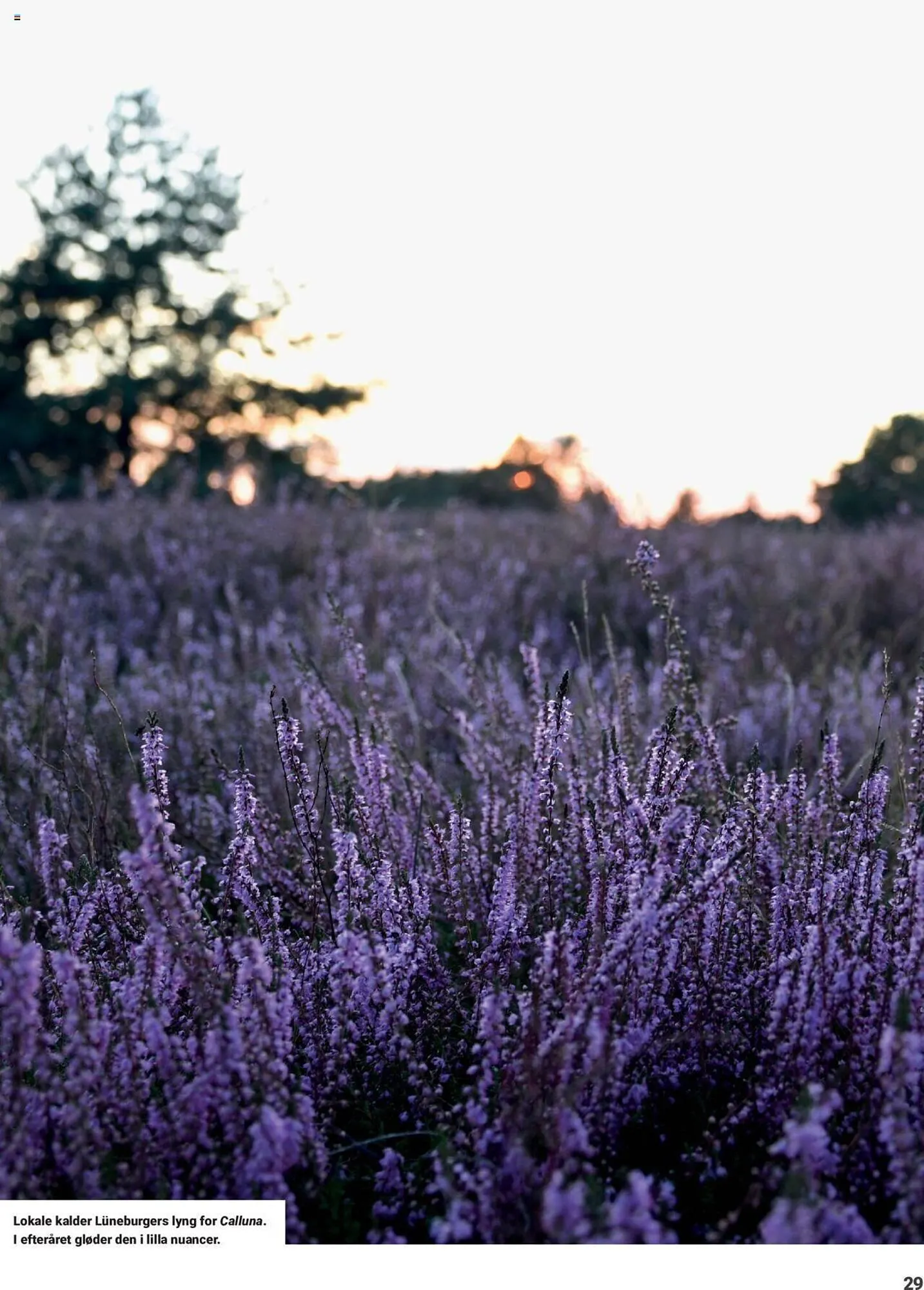 Spejder Sport tilbudsavis Gyldig indtil 28. august - 30. december 2023 - tilbudsavis side 29