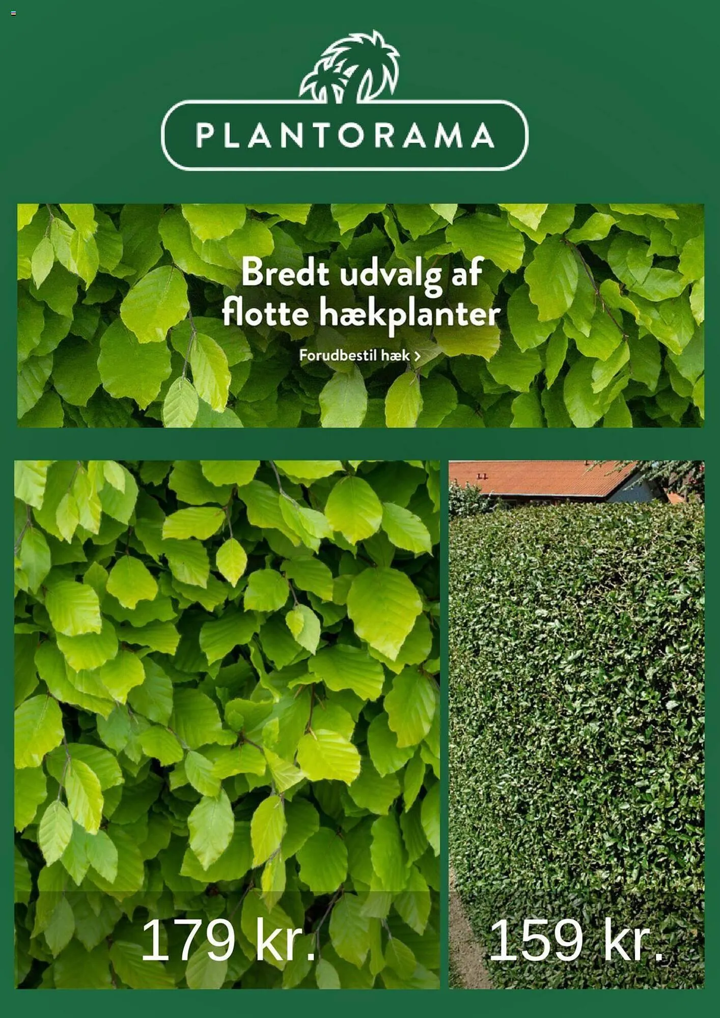 Plantorama tilbudsavis - 1